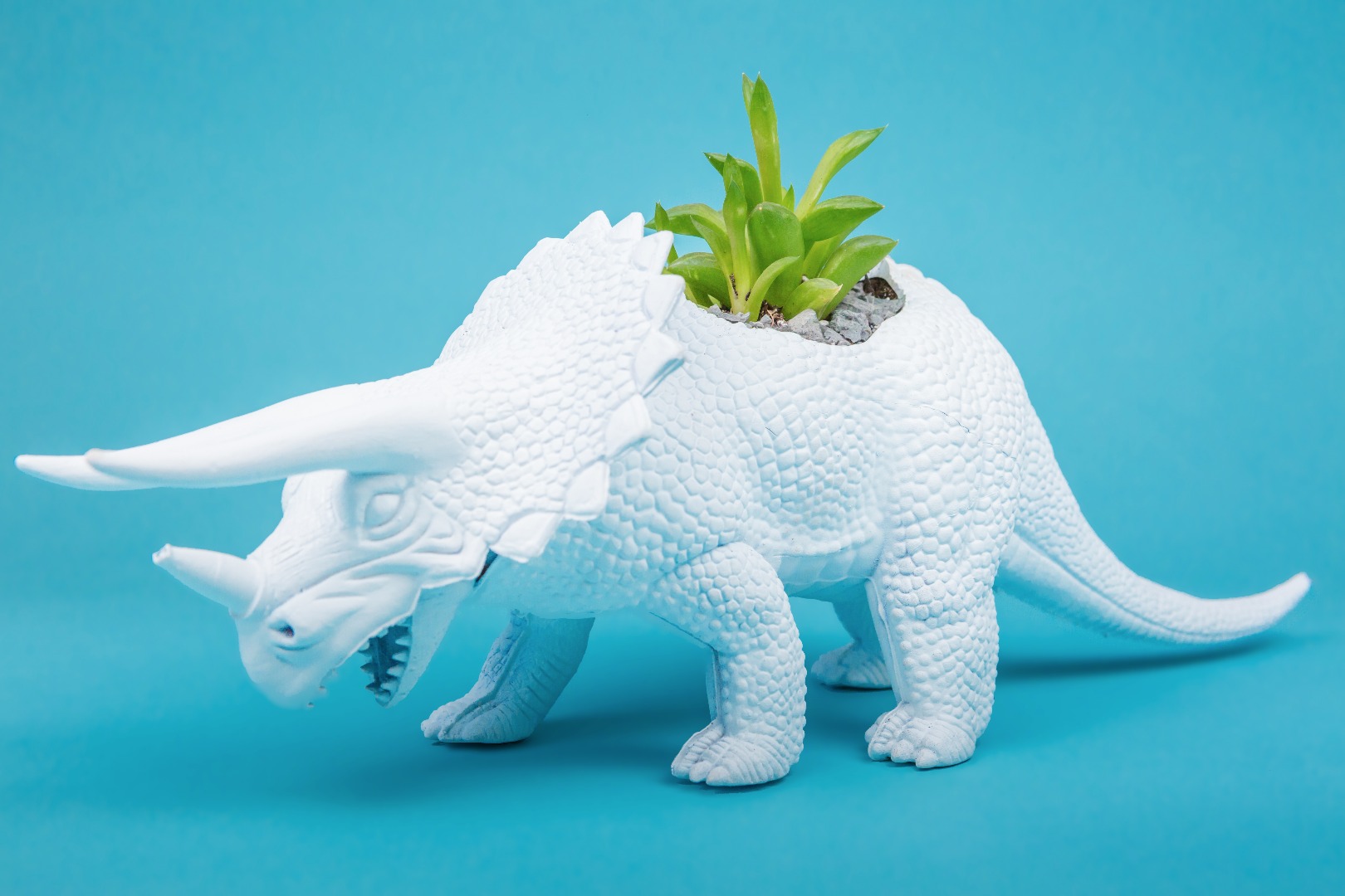 DIY Dinosaur Planters 5 Steps (with Pictures) Instructables