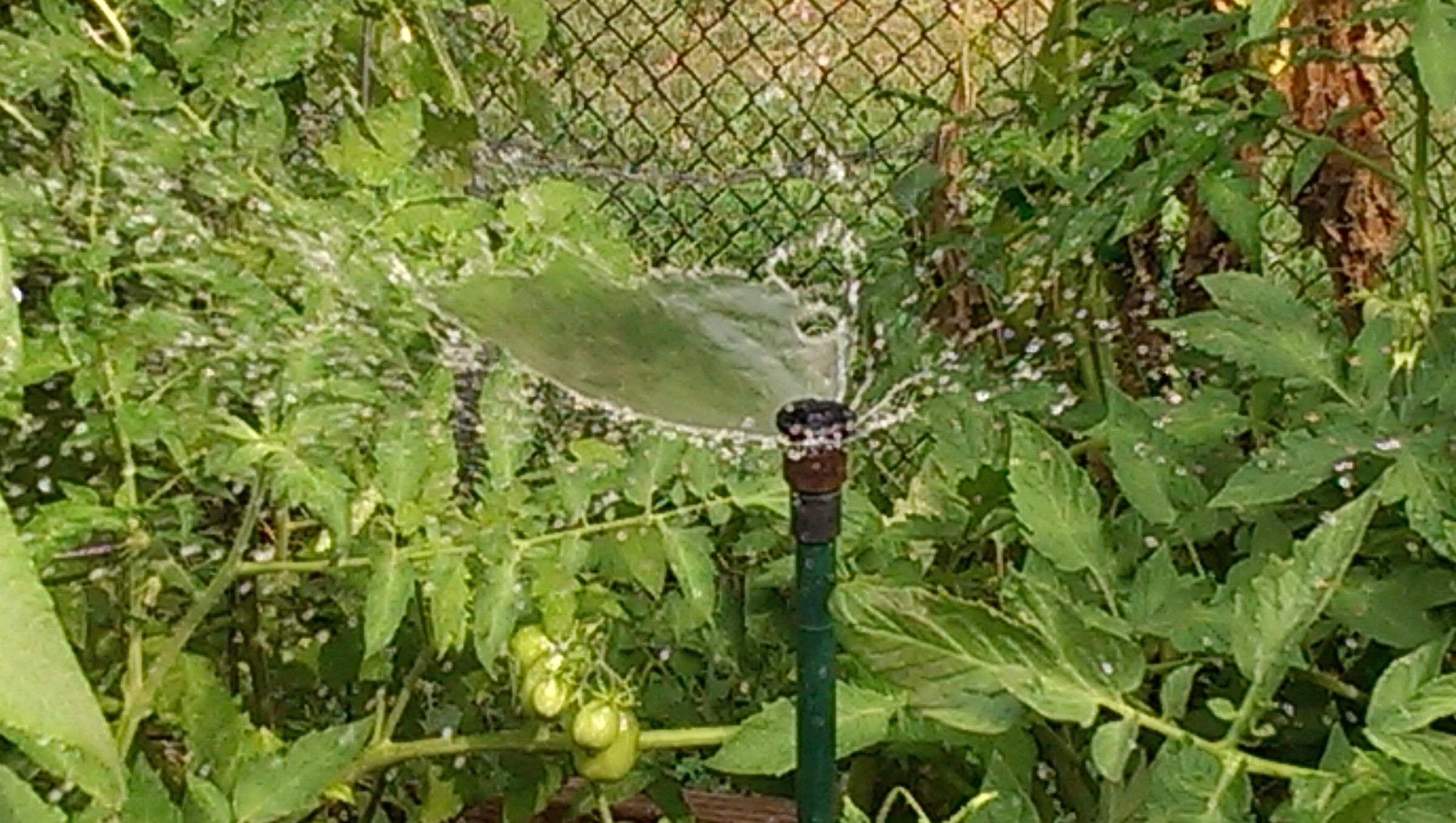 Automatic Garden Sprinkler 6 Steps Instructables