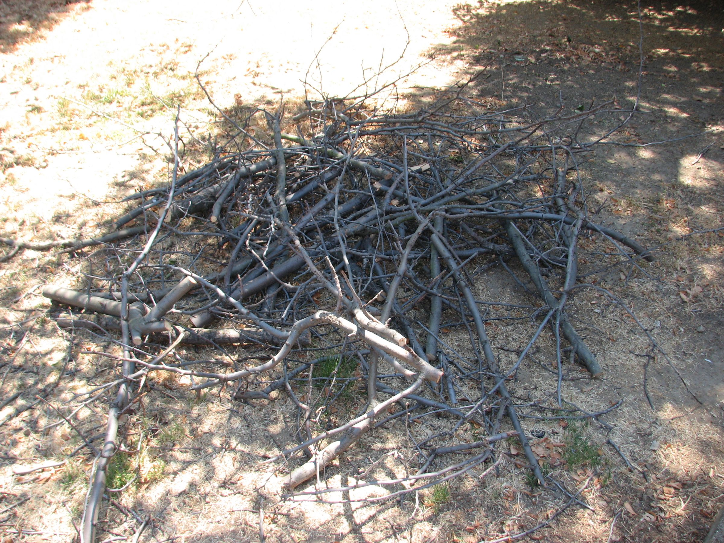 Dead Tree, 37 Gifts 5 Steps (with Pictures) Instructables