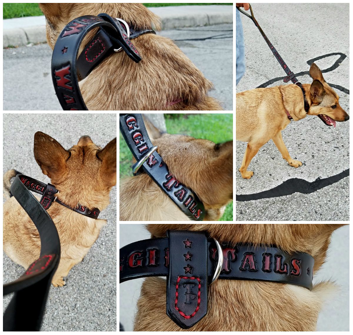 diy slip leash