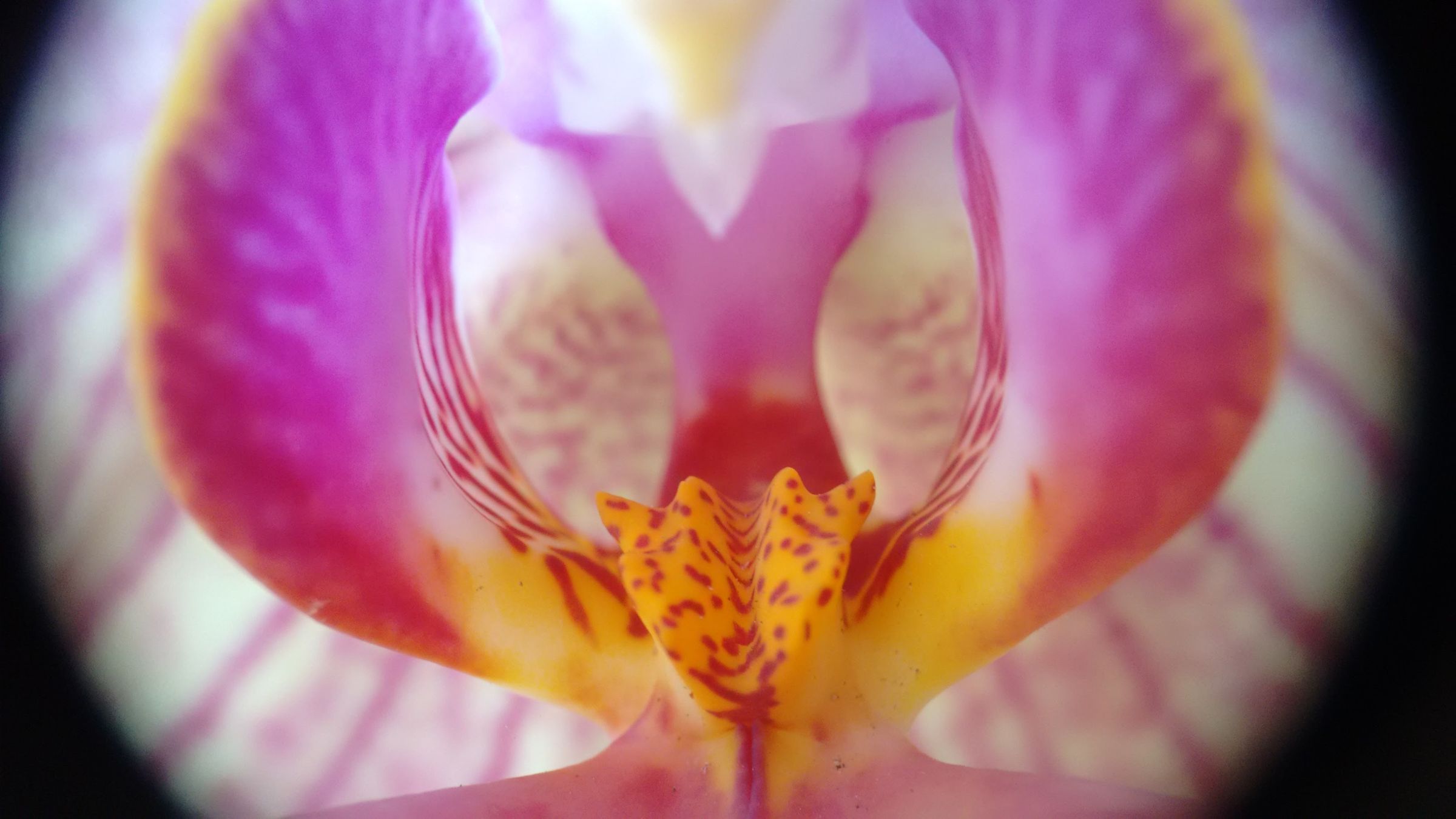 DIY Mobile Camera Lens Kit 7 Steps (with Pictures) Instructables