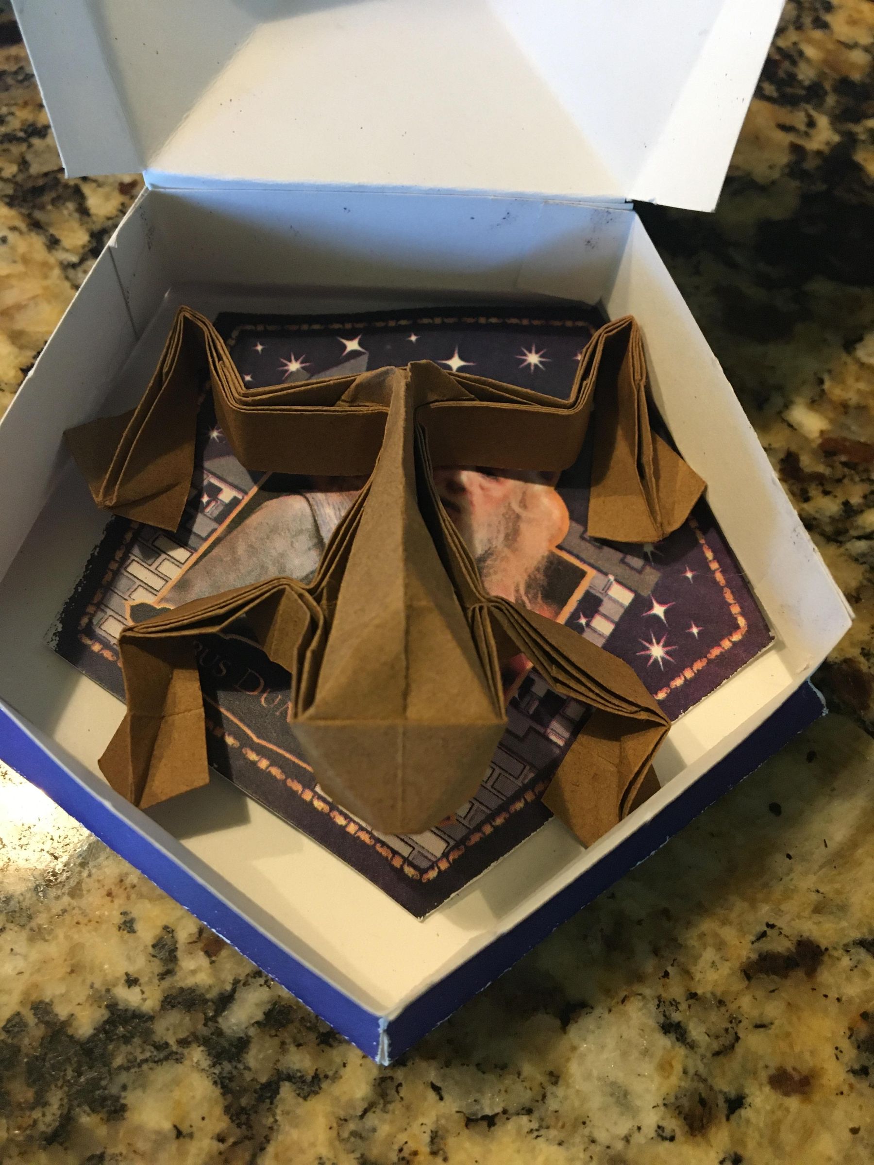 Chocolate Frog Box With Origami Chocolate Frog and Wizard Cards! (Harry