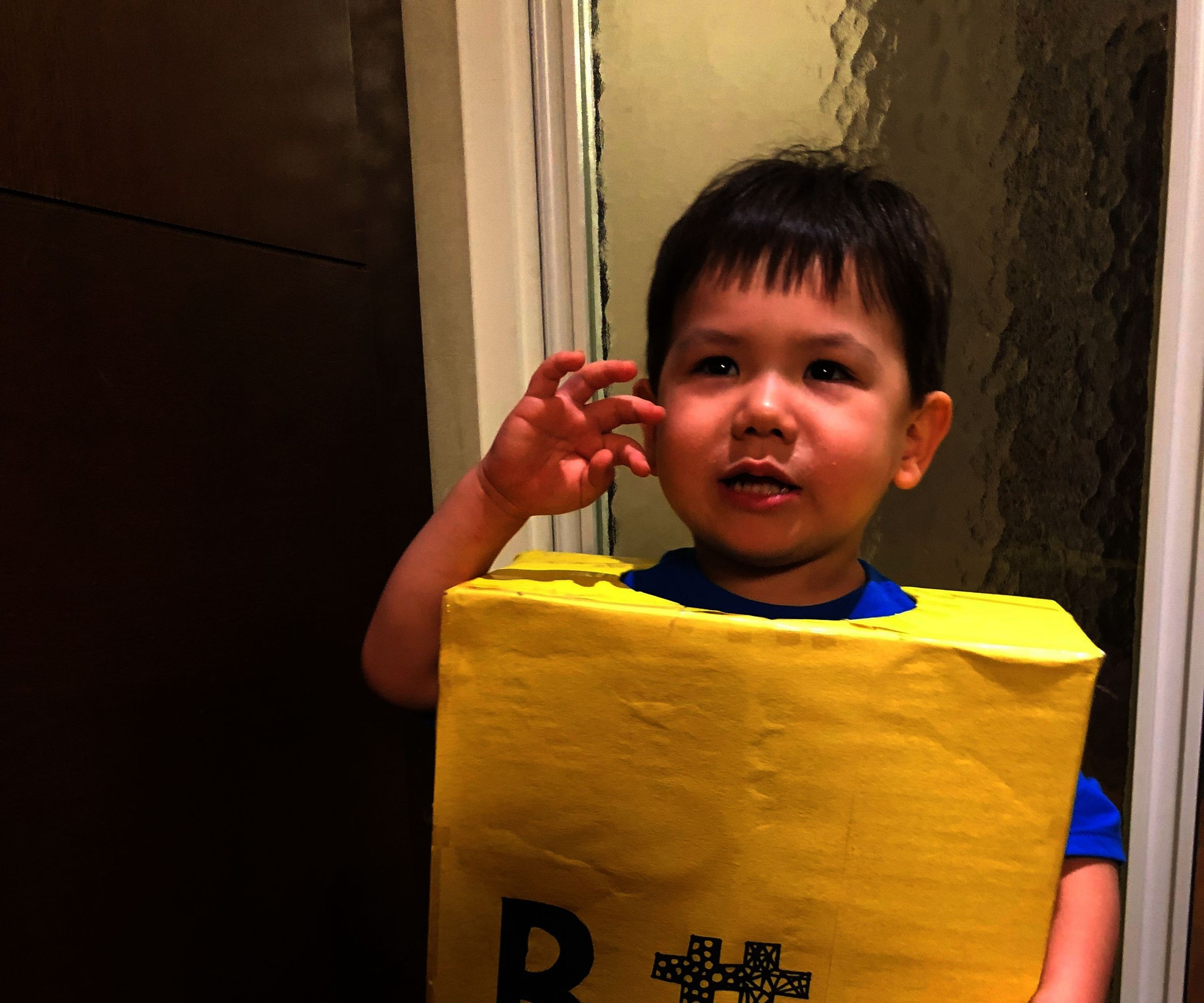 DIY guide for Simple Box Costume with step-by-step instructions