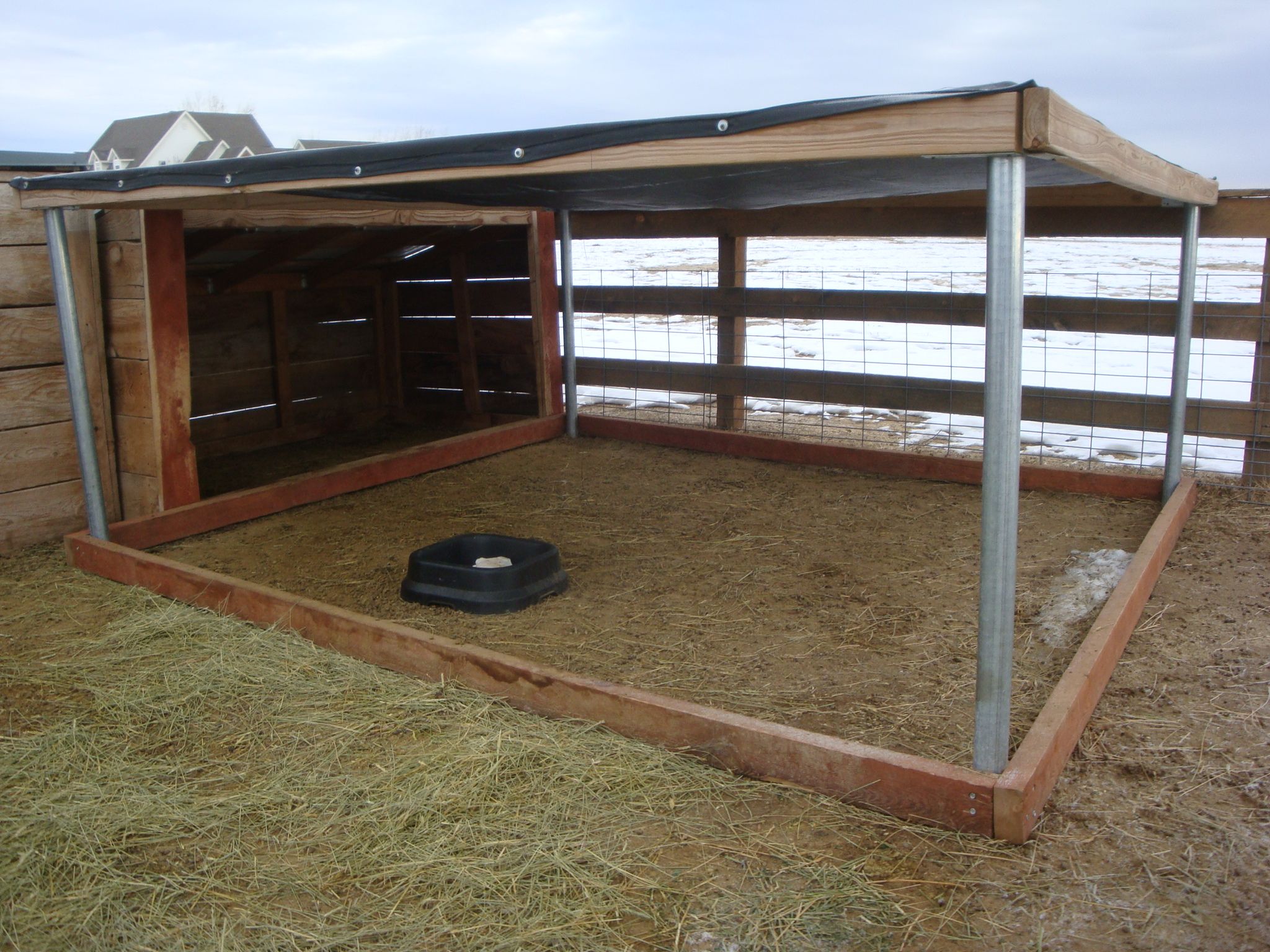 How to Care for Fainting Goats 5 Steps Instructables