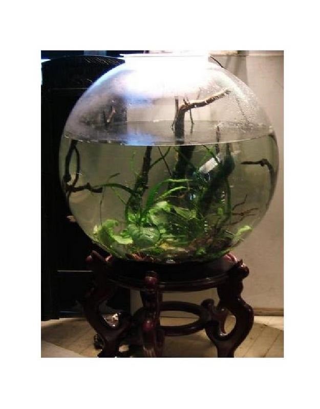 Fish Tank Coffee Table 6 Steps (with Pictures) Instructables