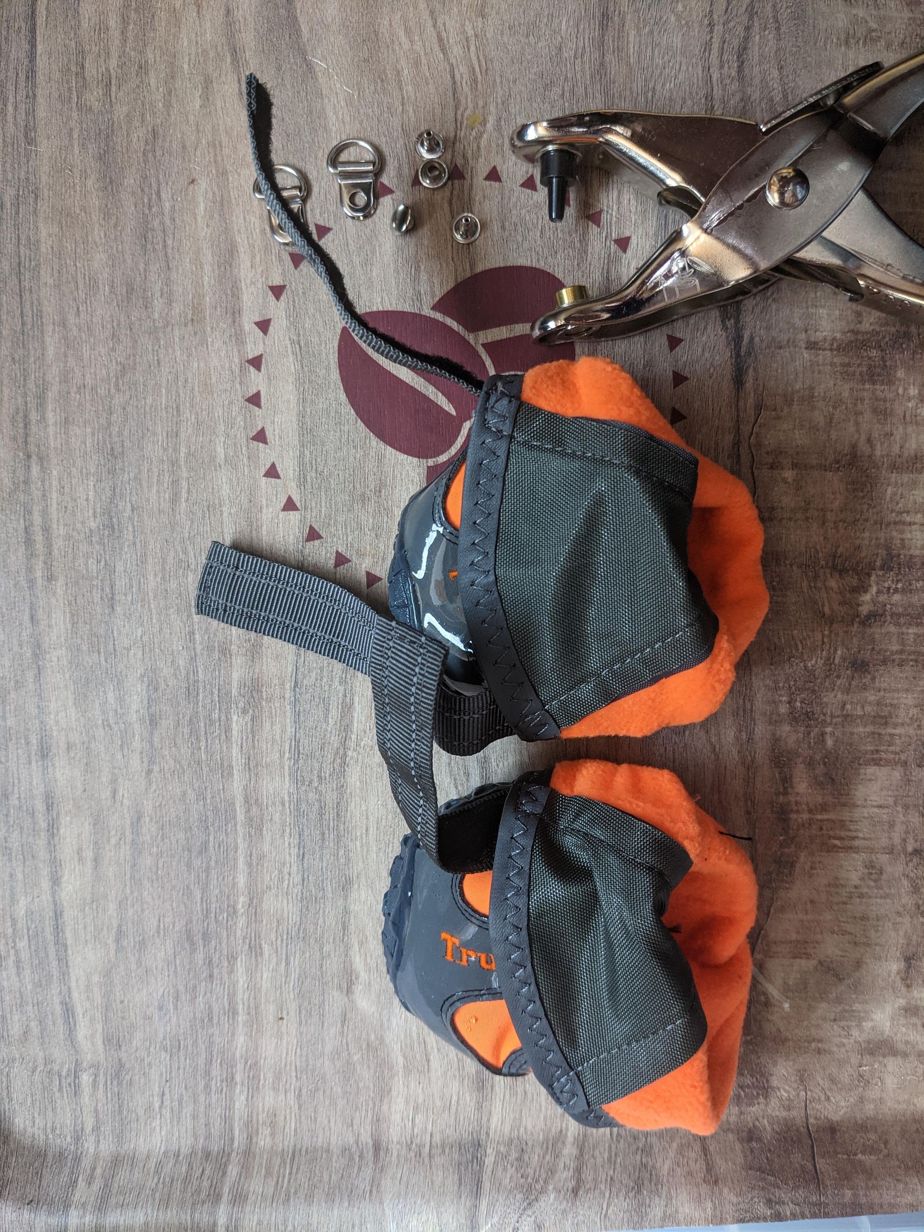 AntiKnucking Shoes for Dogs With Degenerative Myelopathy 7 Steps