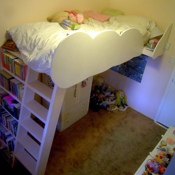 Loft Beds With Bookshelf Ladders