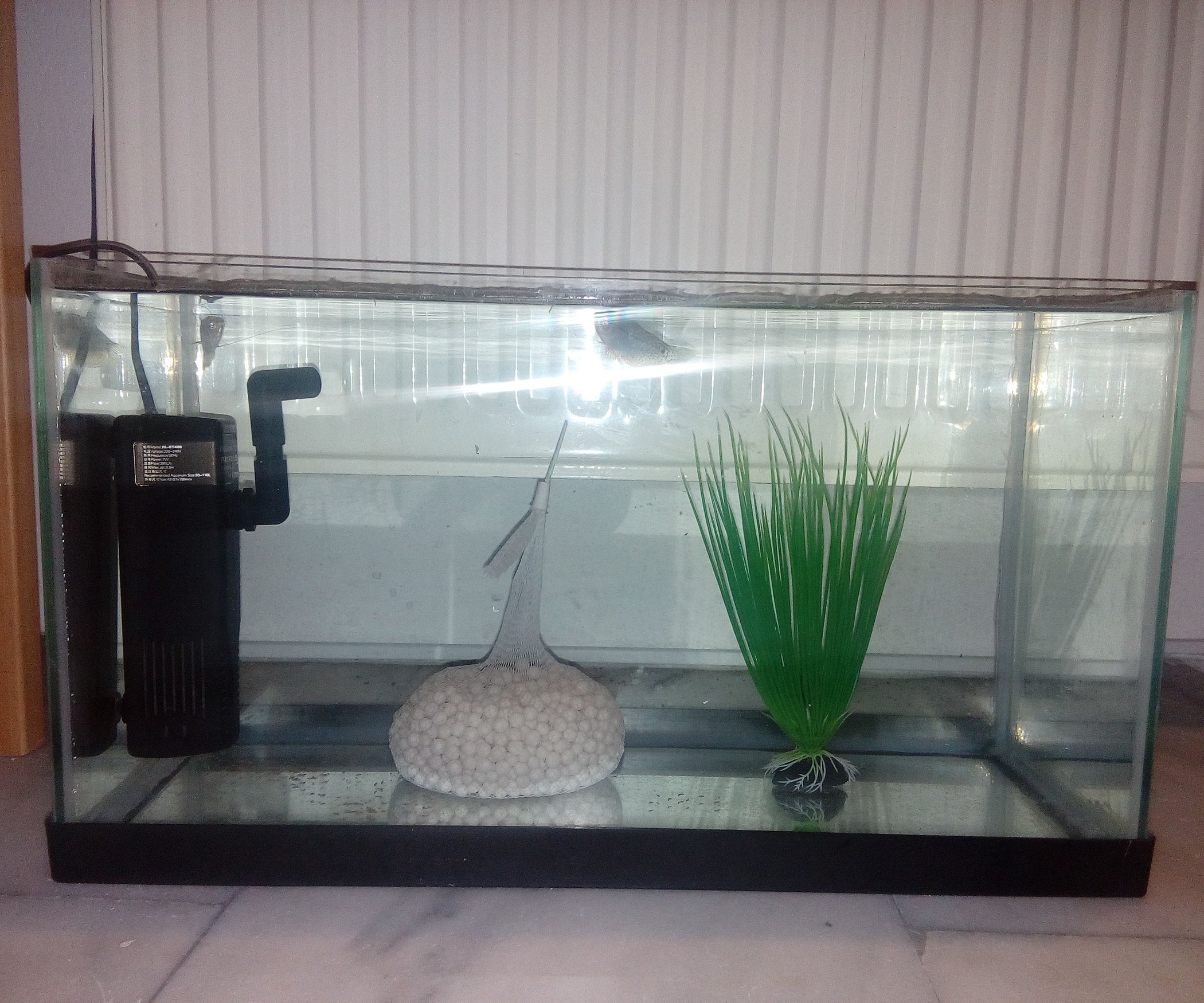 How to Reseal an Aquarium. 4 Steps (with Pictures) Instructables