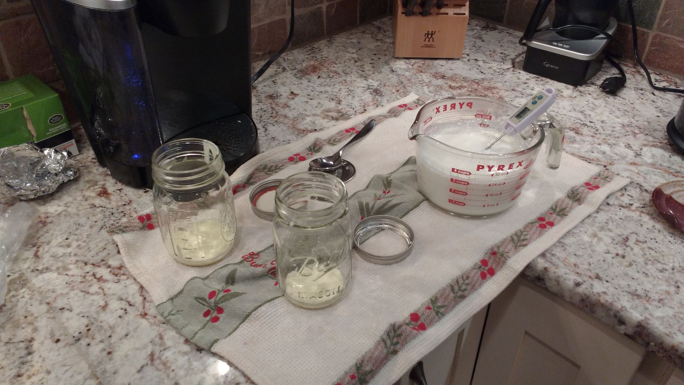 Making Yogurt in a Sous Vide 5 Steps (with Pictures) Instructables