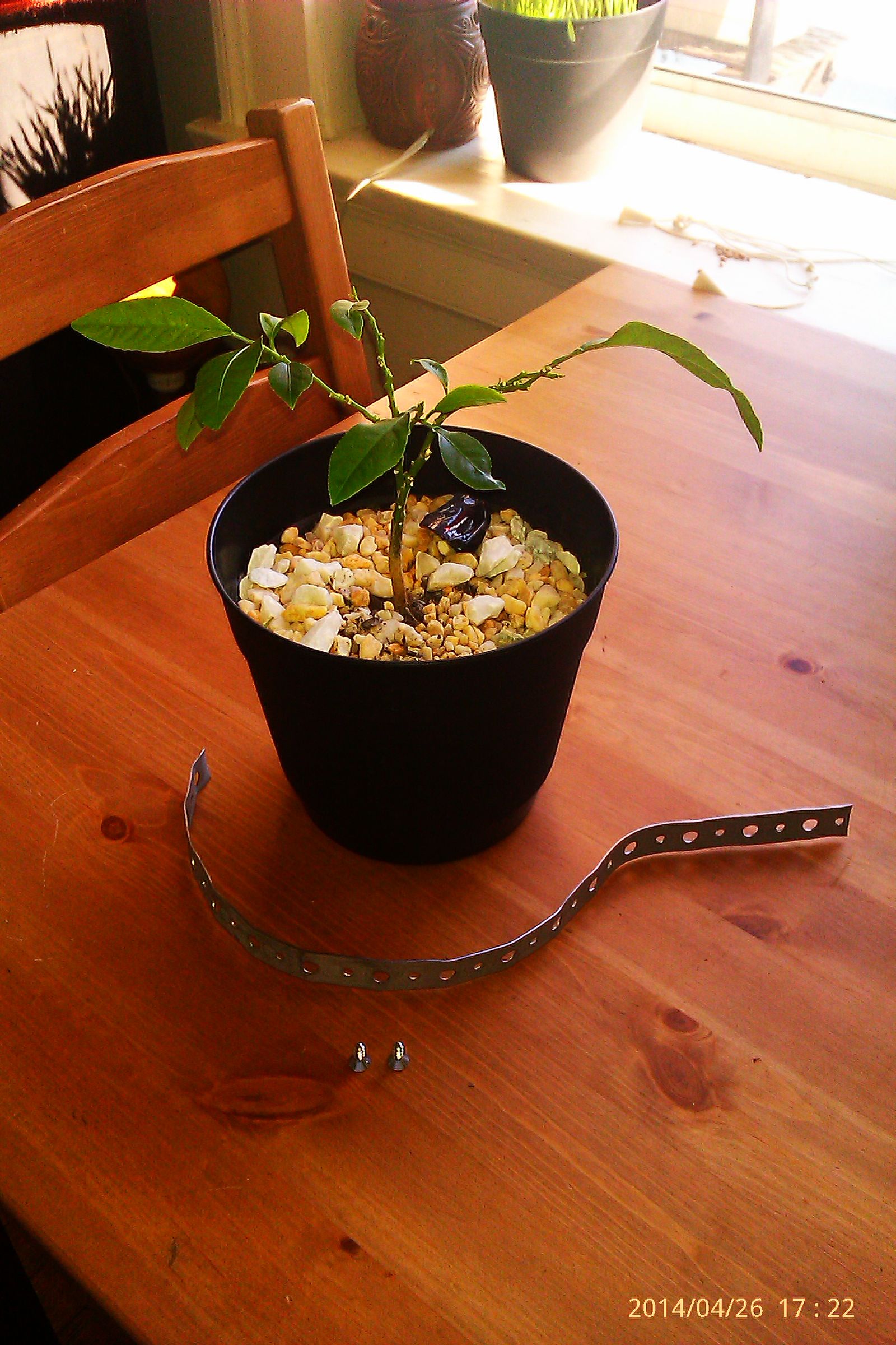 Battery Powered LED Grow Light 7 Steps Instructables