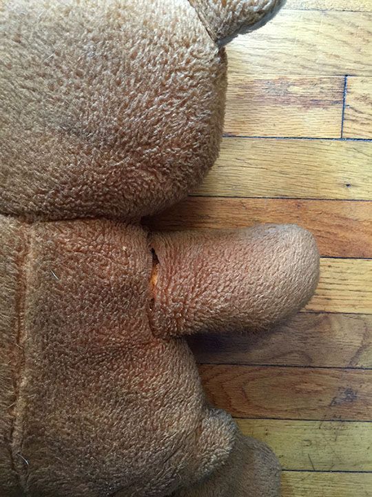 Teddy Bear Restoration 8 Steps With Pictures Instructables