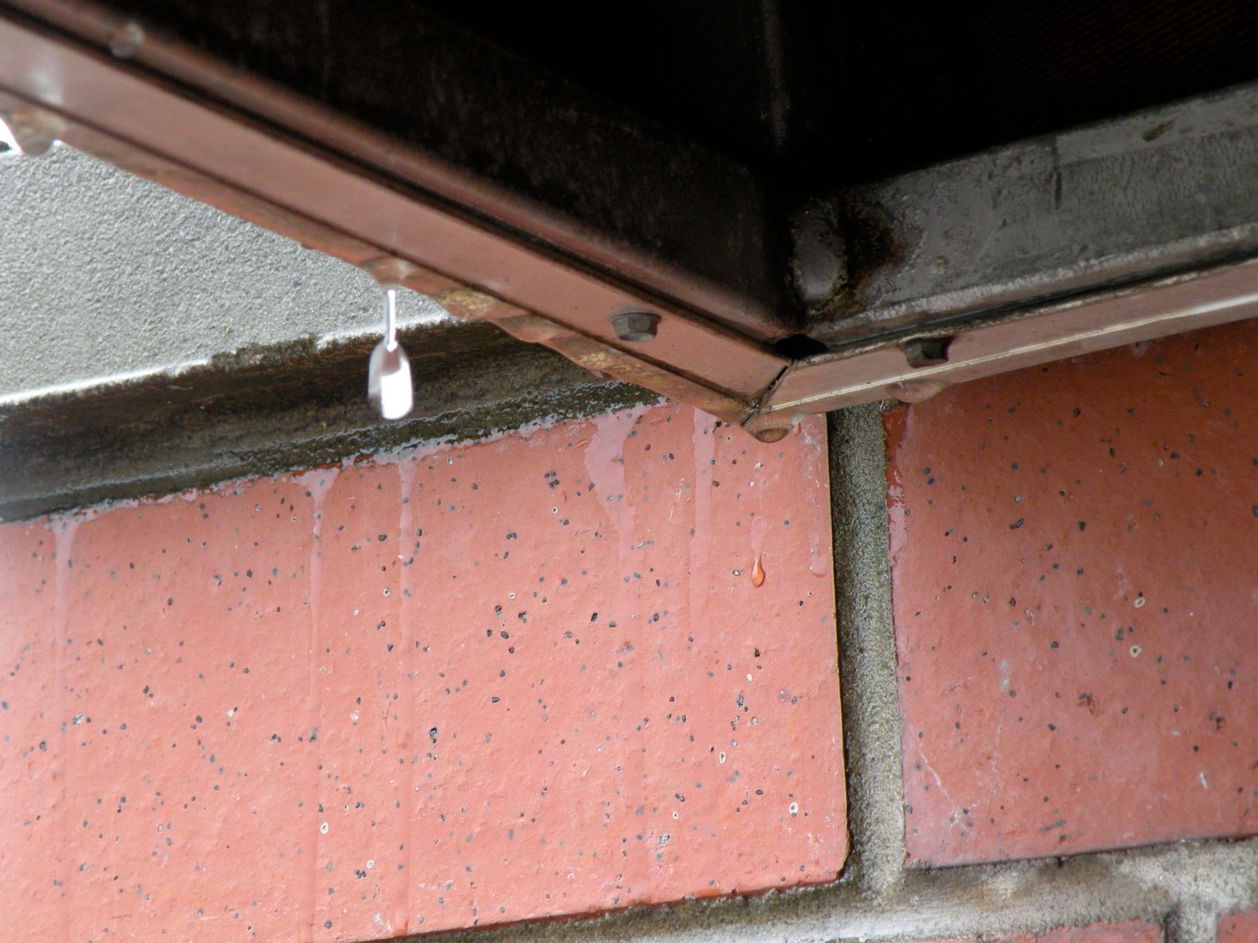 How to Collect Balcony Rain Water for Free 3 Steps (with Pictures