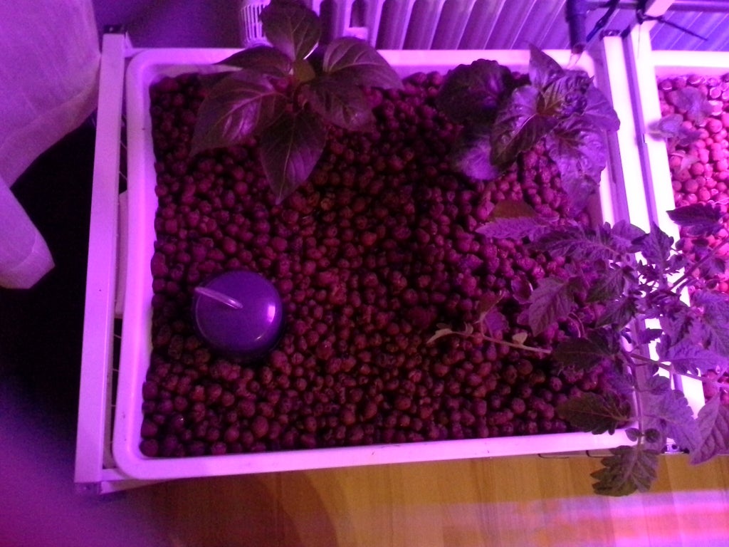 indoor mini aquaponics system ikea-hack : 5 steps with