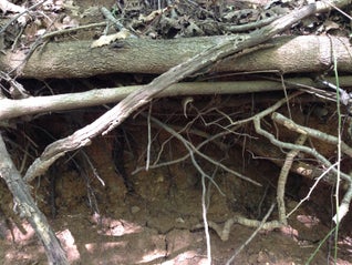 Encontre uma fonte de argila natural...