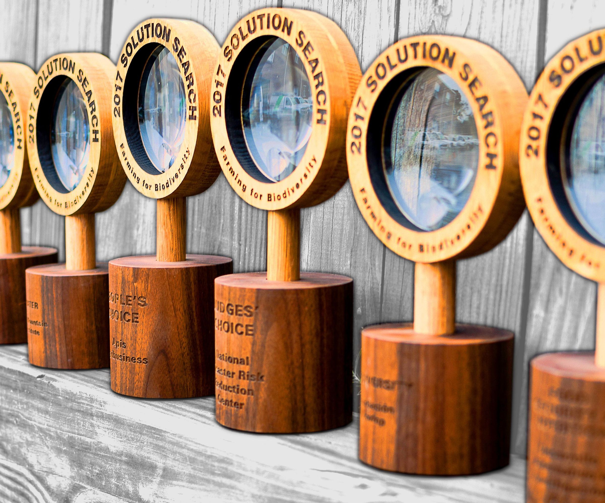 (lasers & lathe) wooden magnifying glasses - corporate awards DIY Project DIY Project Image