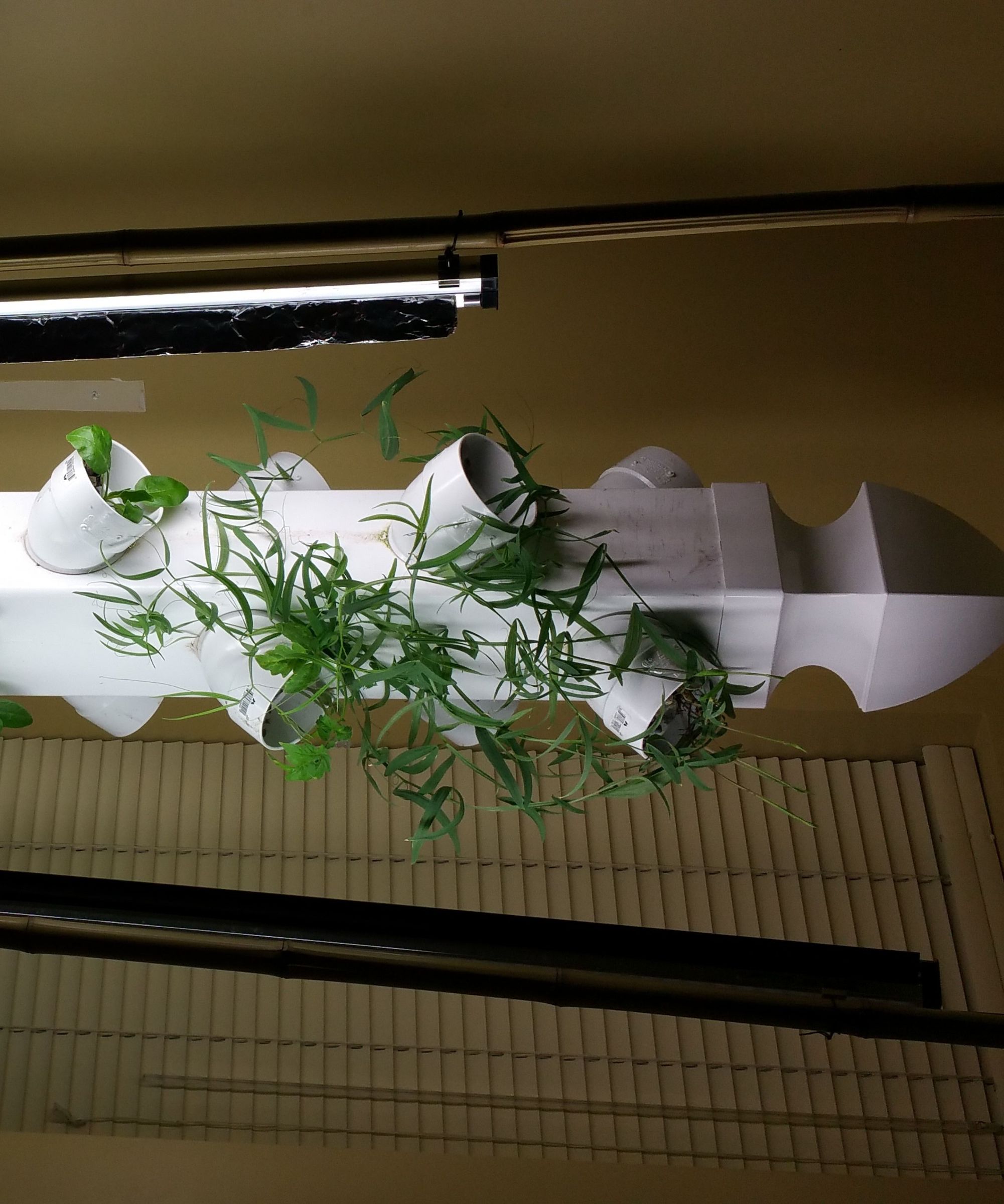 Aquaponics Vertical Garden