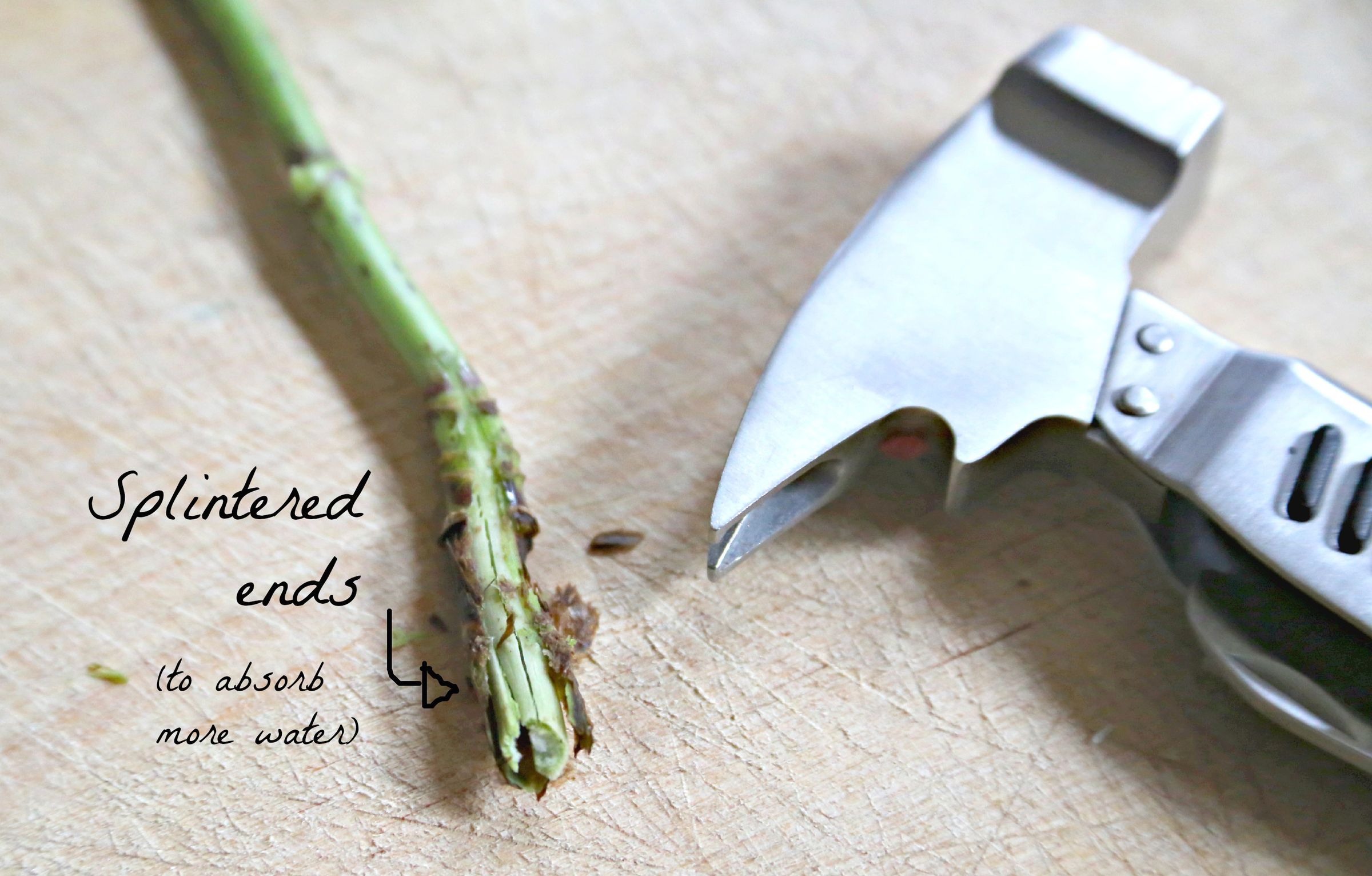 How to Make Flowers Last Longer 8 Steps (with Pictures) Instructables