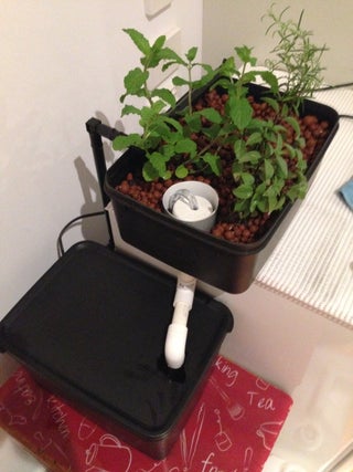 Mini Hydroponics Herb Garden 8 Steps With Pictures Instructables Mini Hydroponics Herb Garden 8 Steps With Pictures Instructables