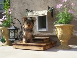dog door awning