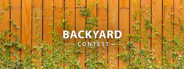 Backyard Contest