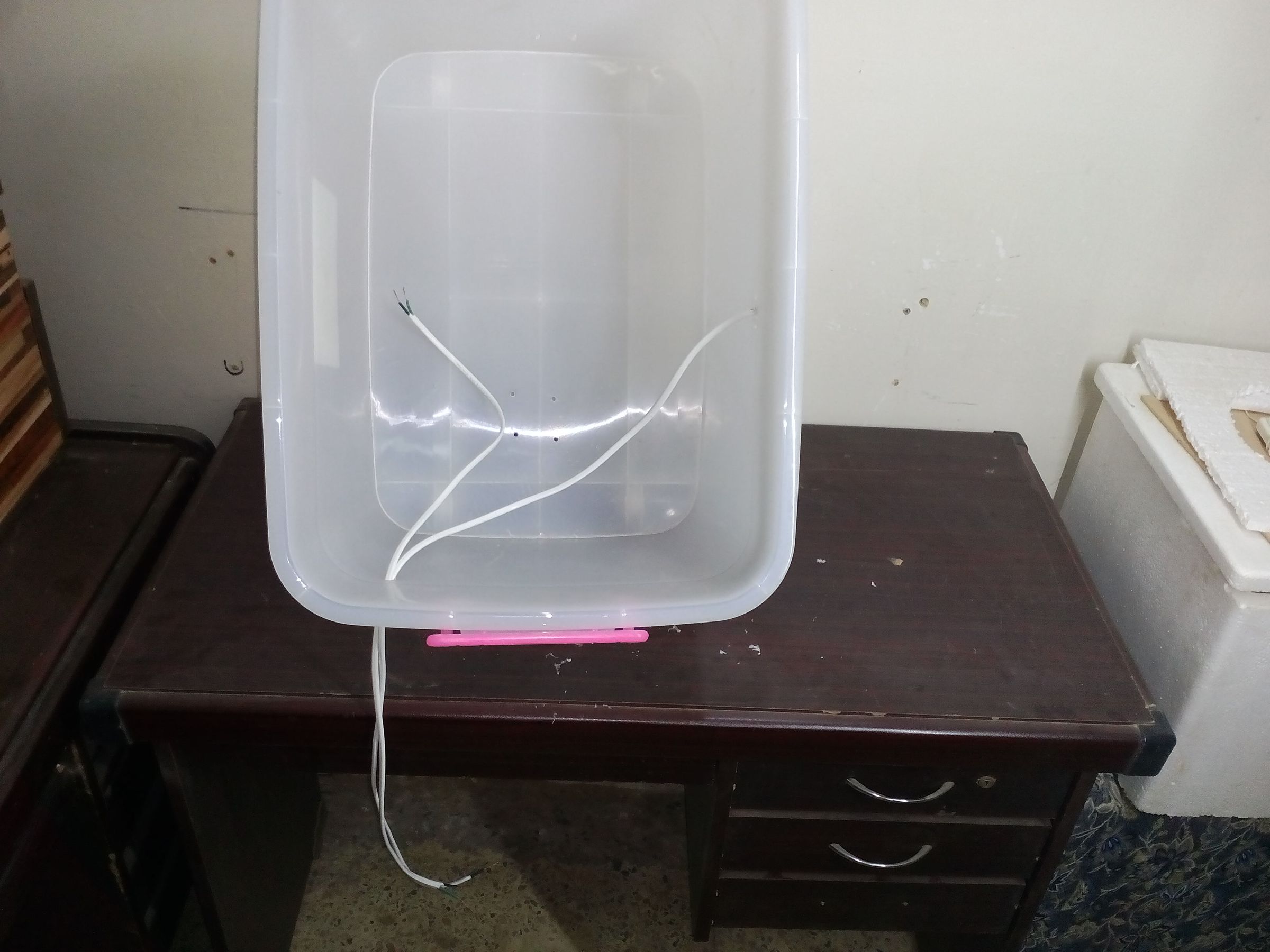 How to Make Homemade Incubator Egg Hatcher at Home 5 Steps (with