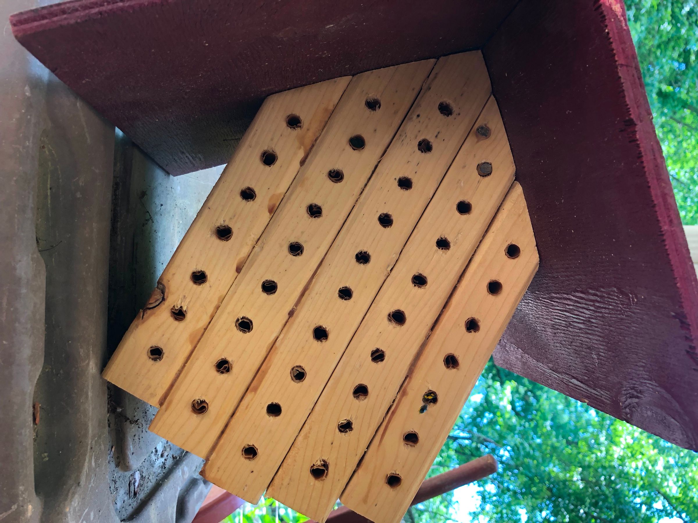 Mason Bee House 18 Steps (with Pictures) Instructables