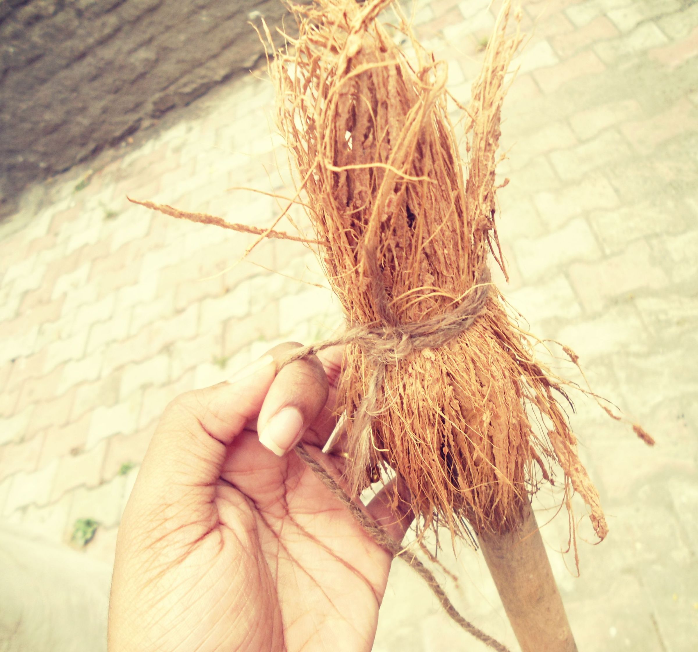 Climbing Pole for Plants From Coir. 6 Steps Instructables