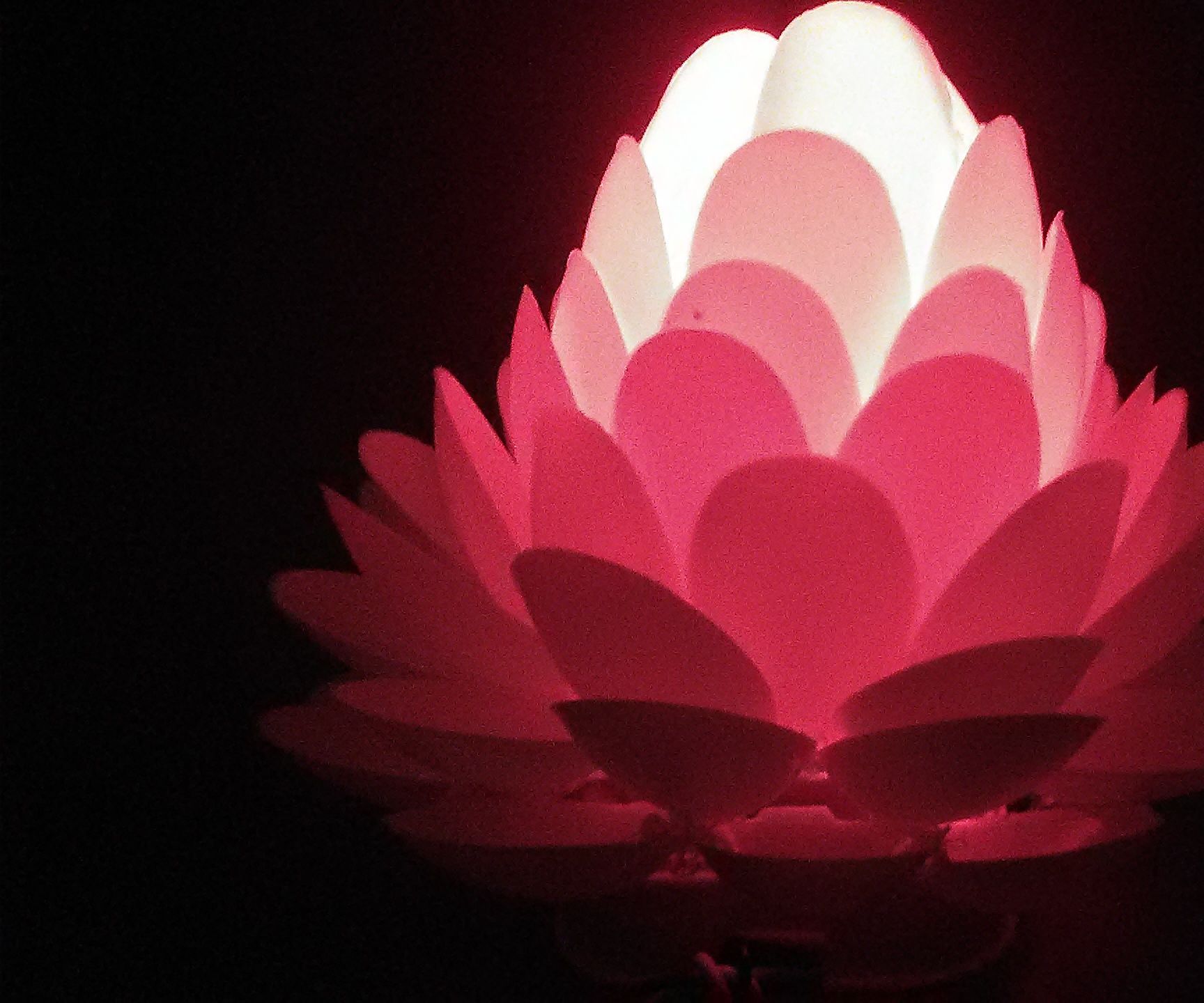 a beautiful lotus flower lamp DIY Project DIY Project Image