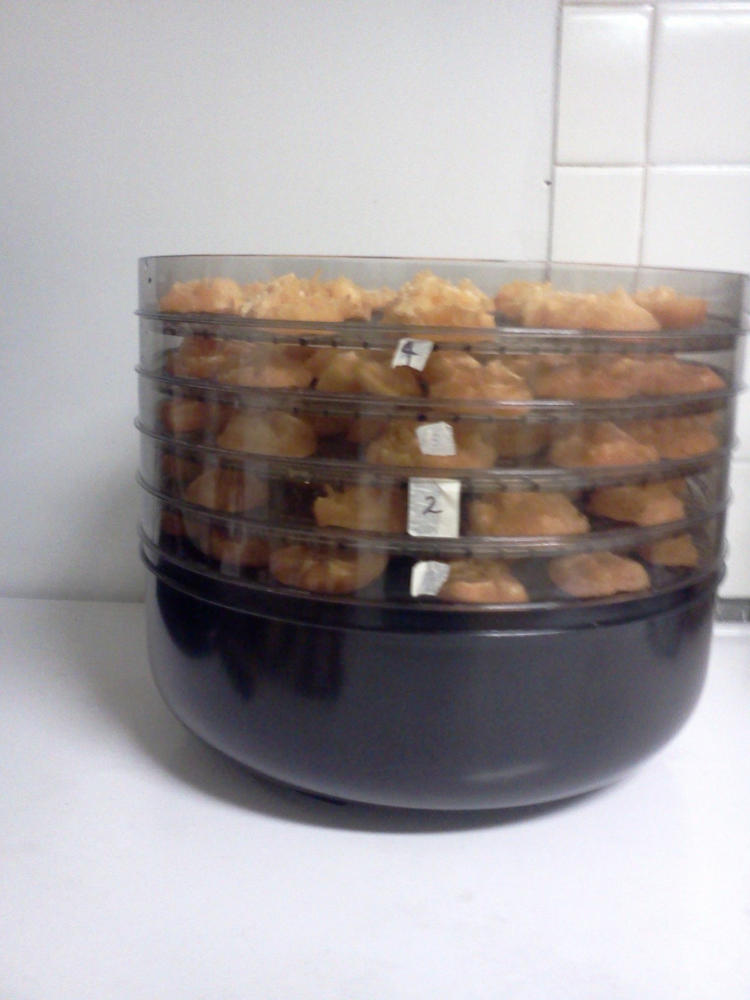 Dehydrating Apricots 4 Steps (with Pictures) Instructables