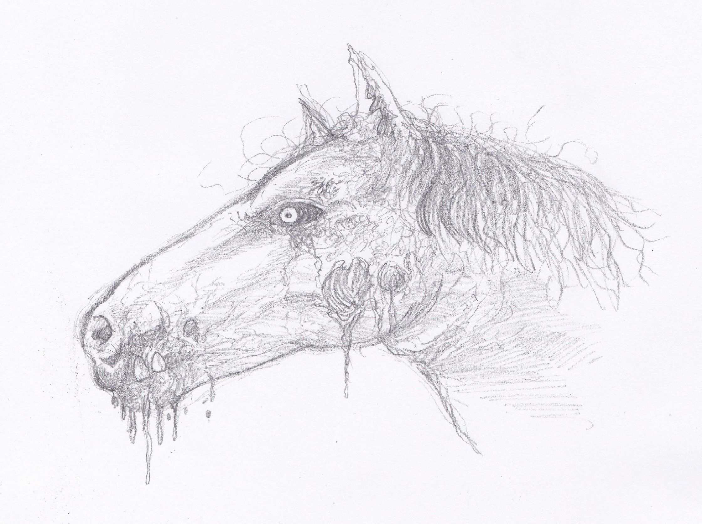 DIY guide for Drawing A Zombie Horse Head with step-by-step instructions