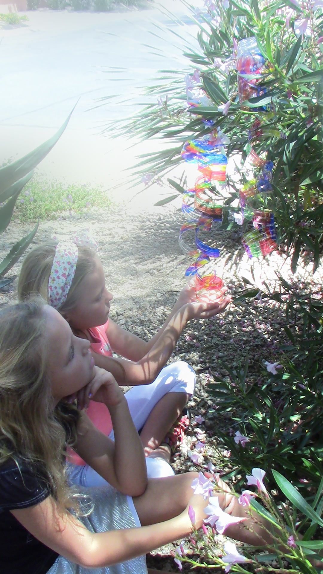 How to Make Plastic Bottle Wind Spinners (with Pictures) Instructables