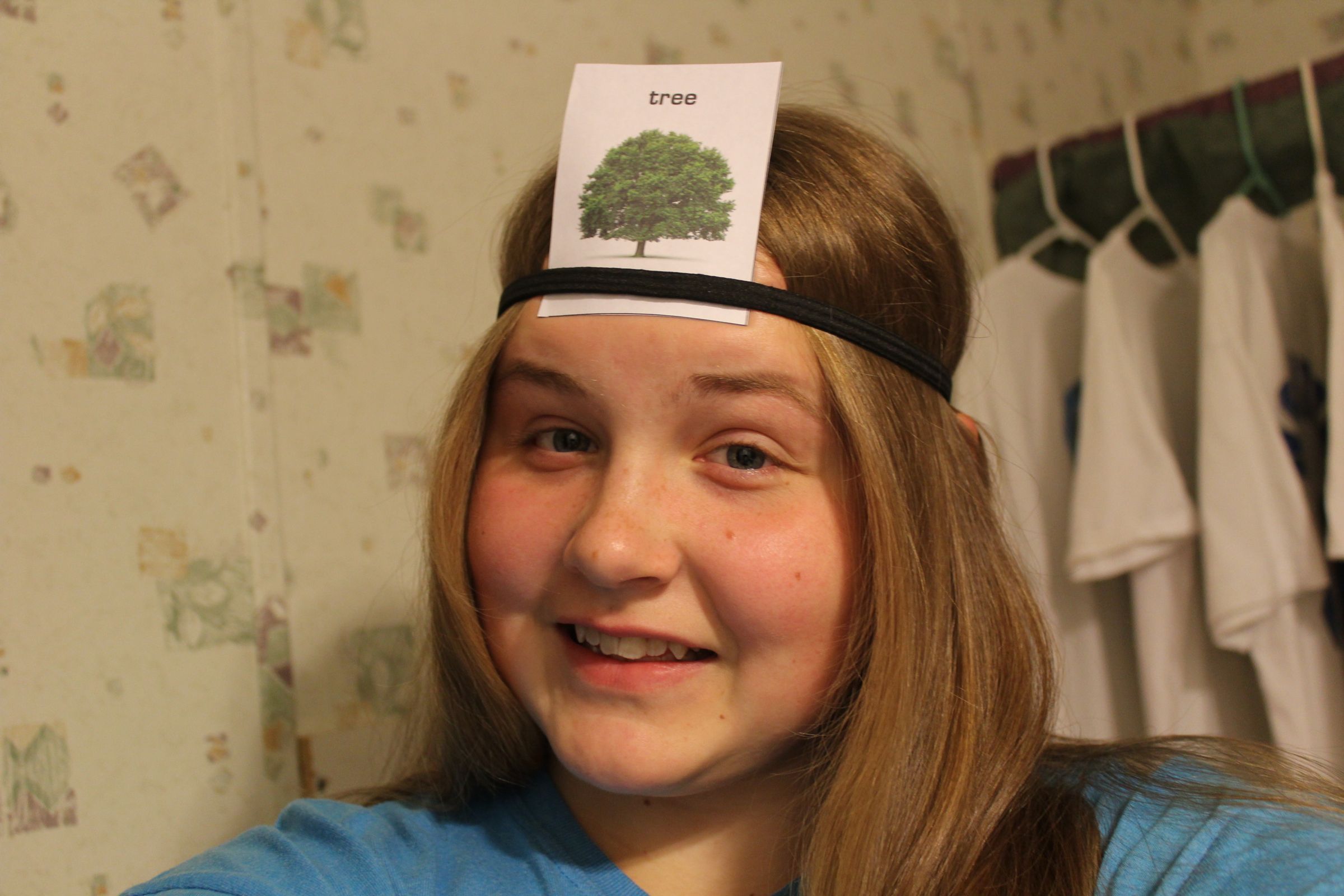 Homemade "Hedbanz" Game 4 Steps Instructables