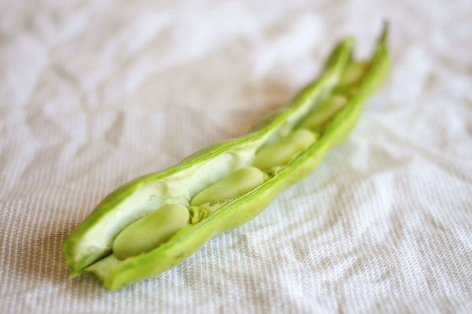 How to Cook Fava Beans 5 Steps (with Pictures) Instructables