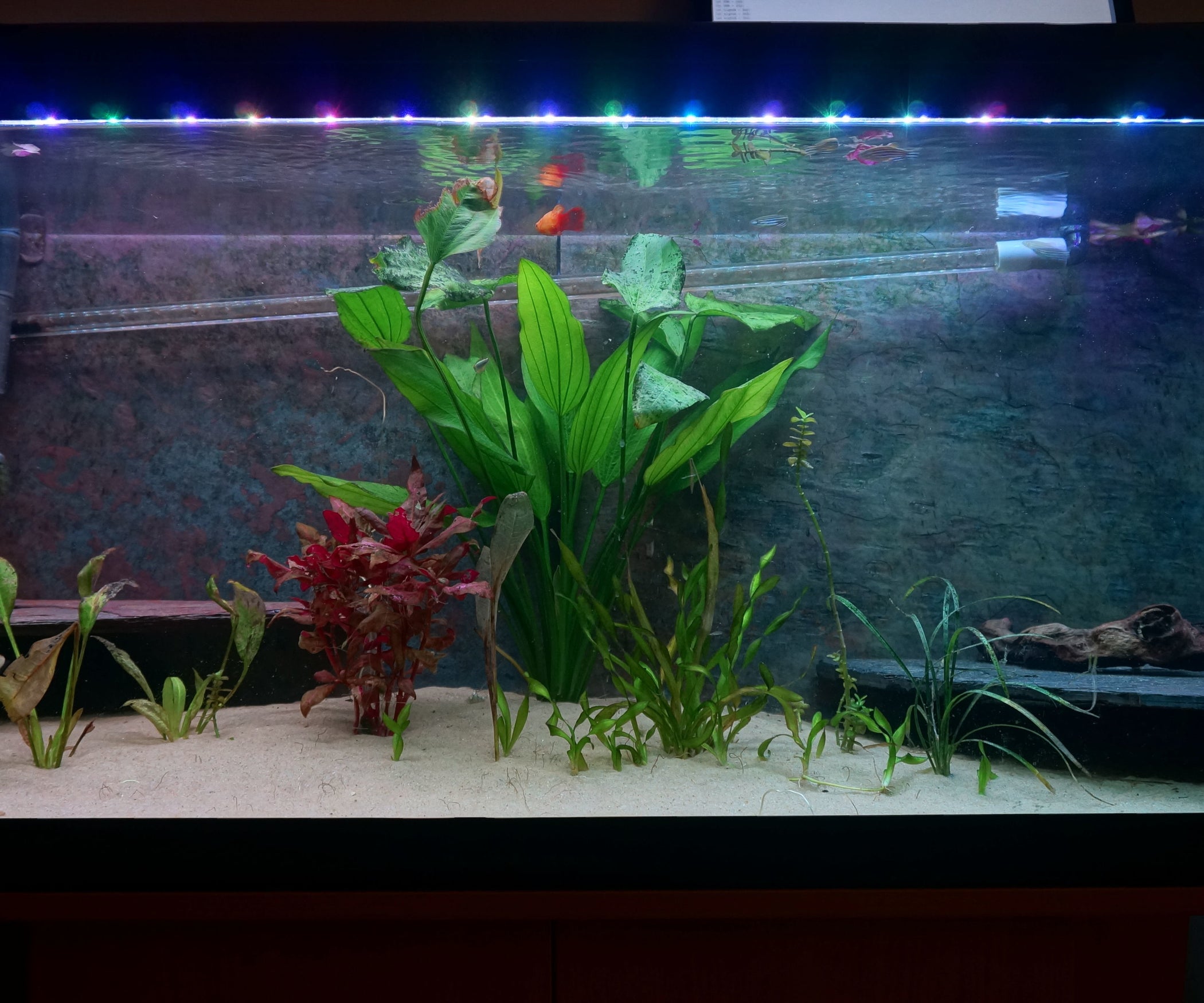 RGB Aquarium Lights With Sunsets and Sunrises 4 Steps (with Pictures) Instructables