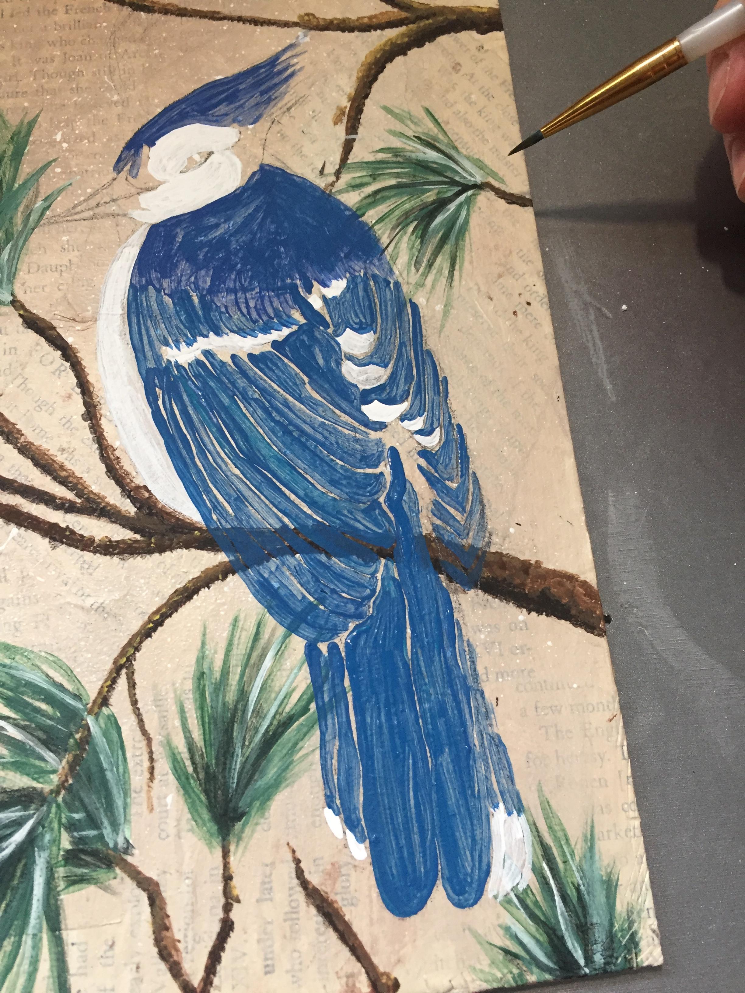 How to Paint a Blue Jay on a Branch. 13 Steps (with Pictures