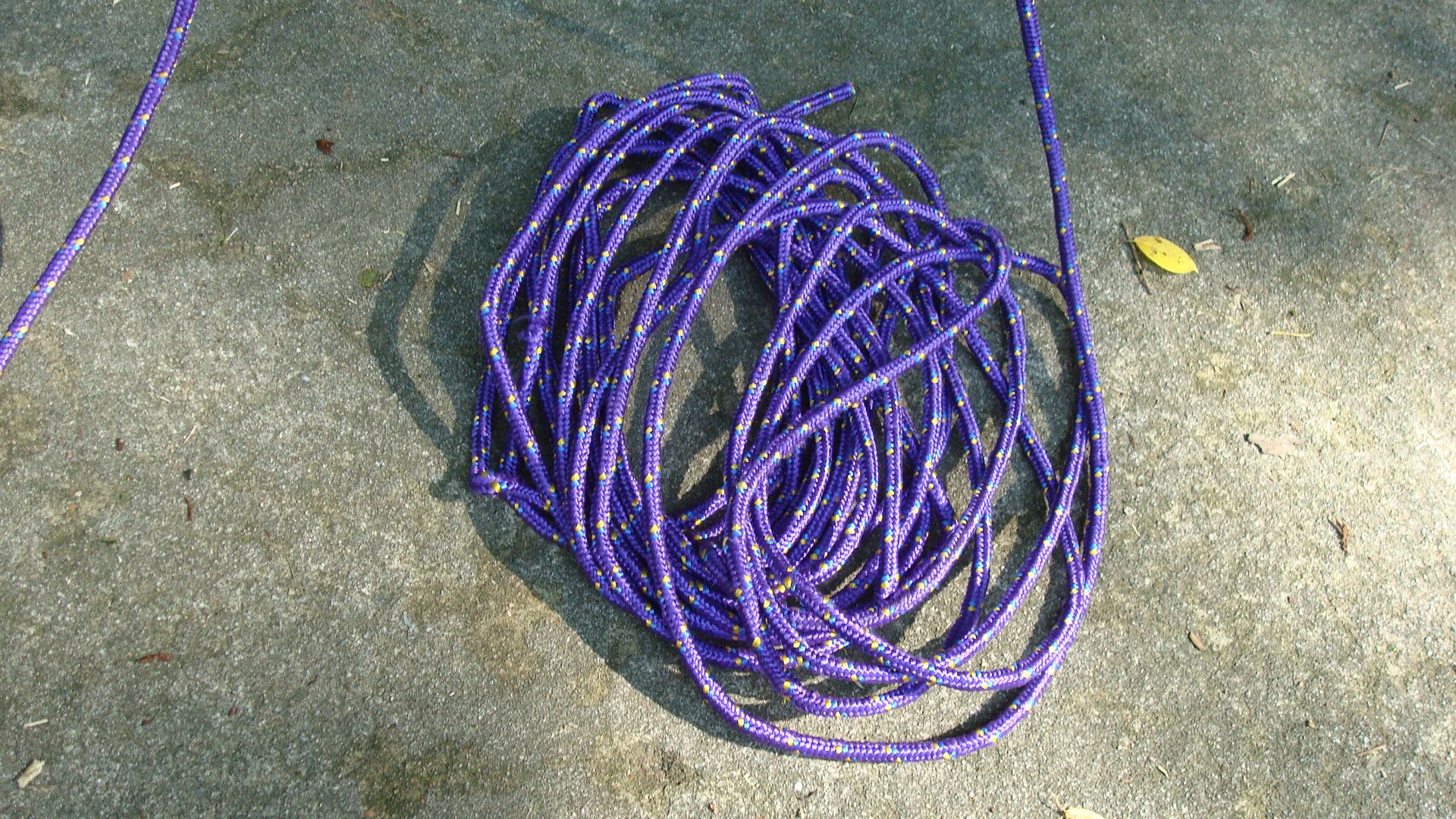 How to Climb a Tree (using Only Rope!) the Fun/simple Way 6 Steps