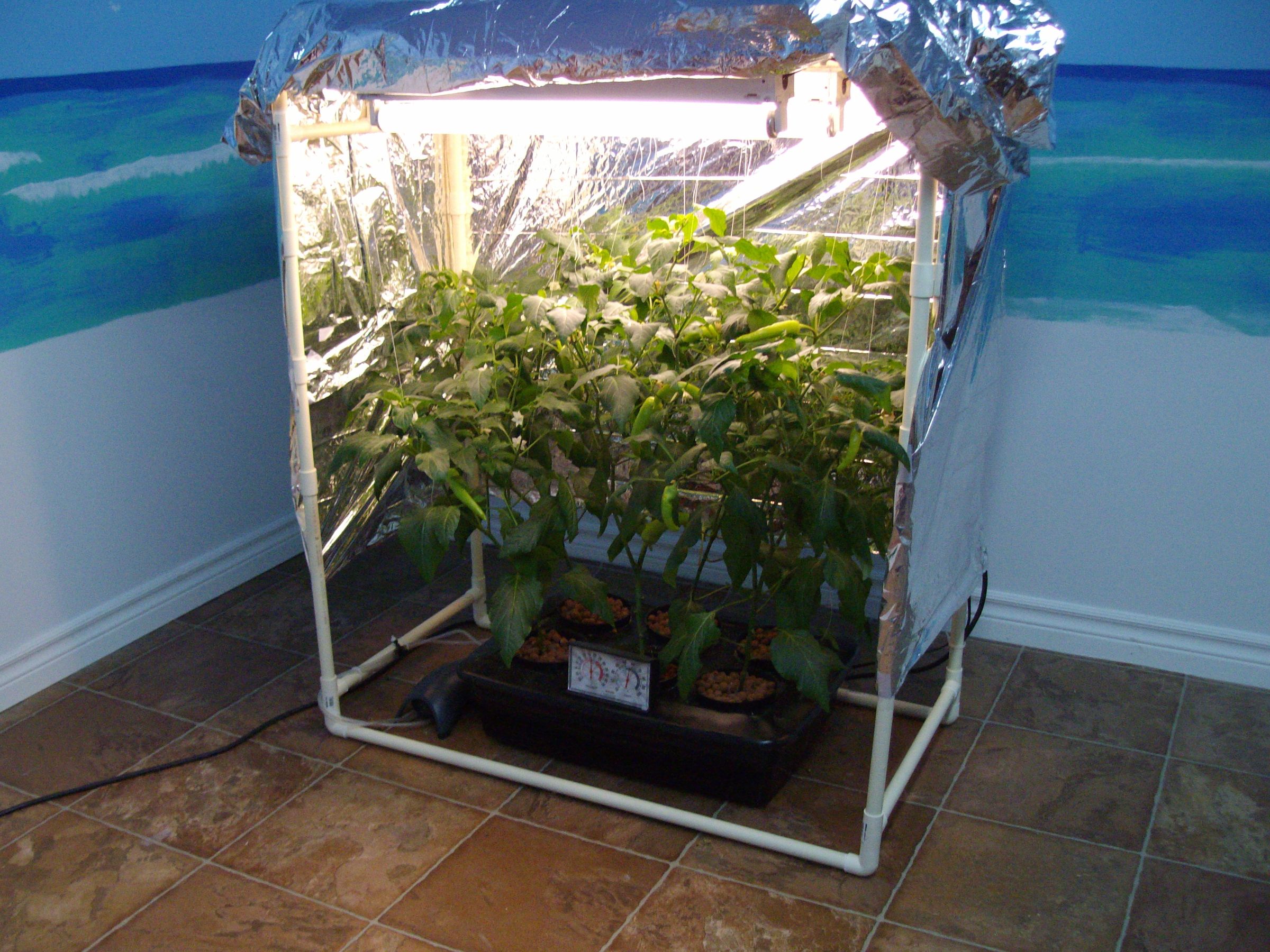 My Indoor DWC Hydroponics System 10 Steps (with Pictures) Instructables