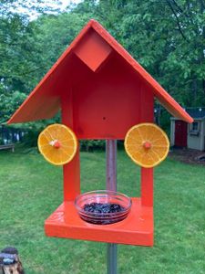 Baltimore Oriole Feeder : 11 Steps (with Pictures) - Instructables