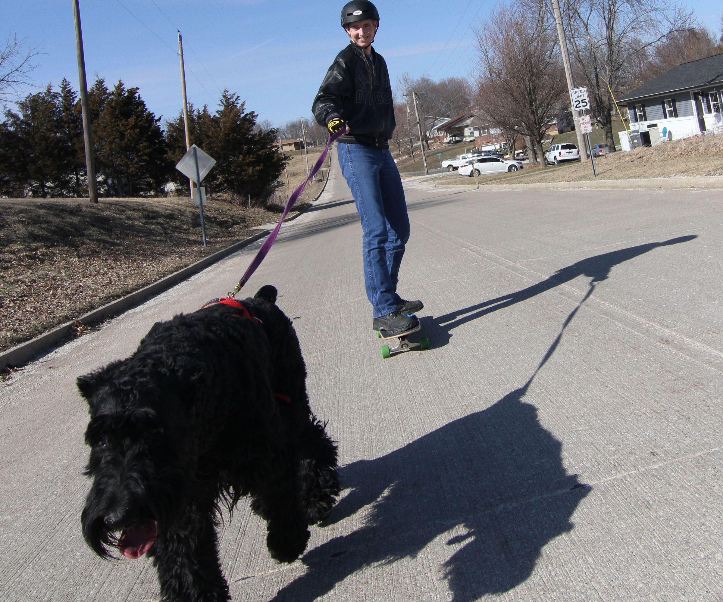 dog pulling skateboard harness