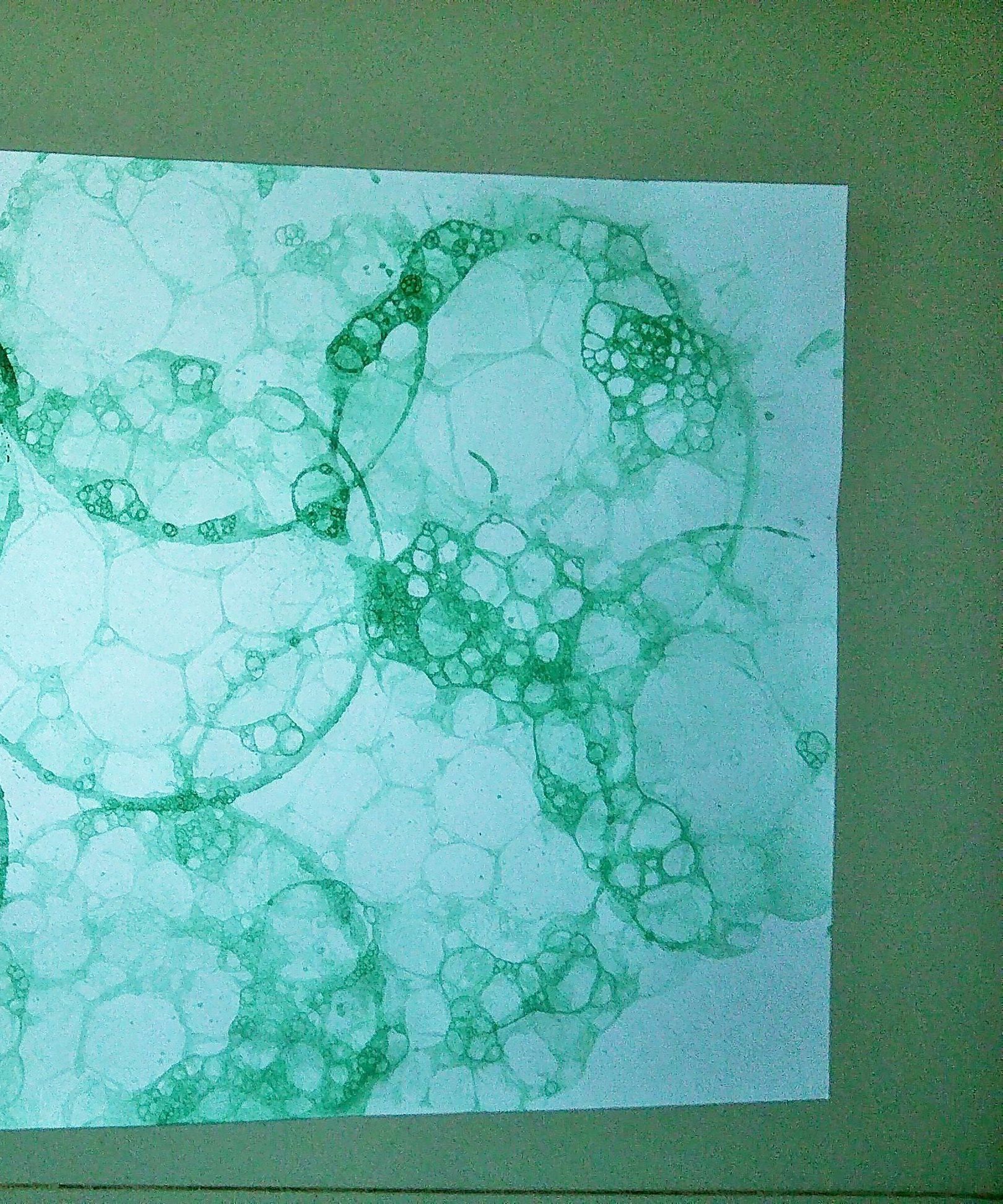 bubble paper DIY Project DIY Project Image