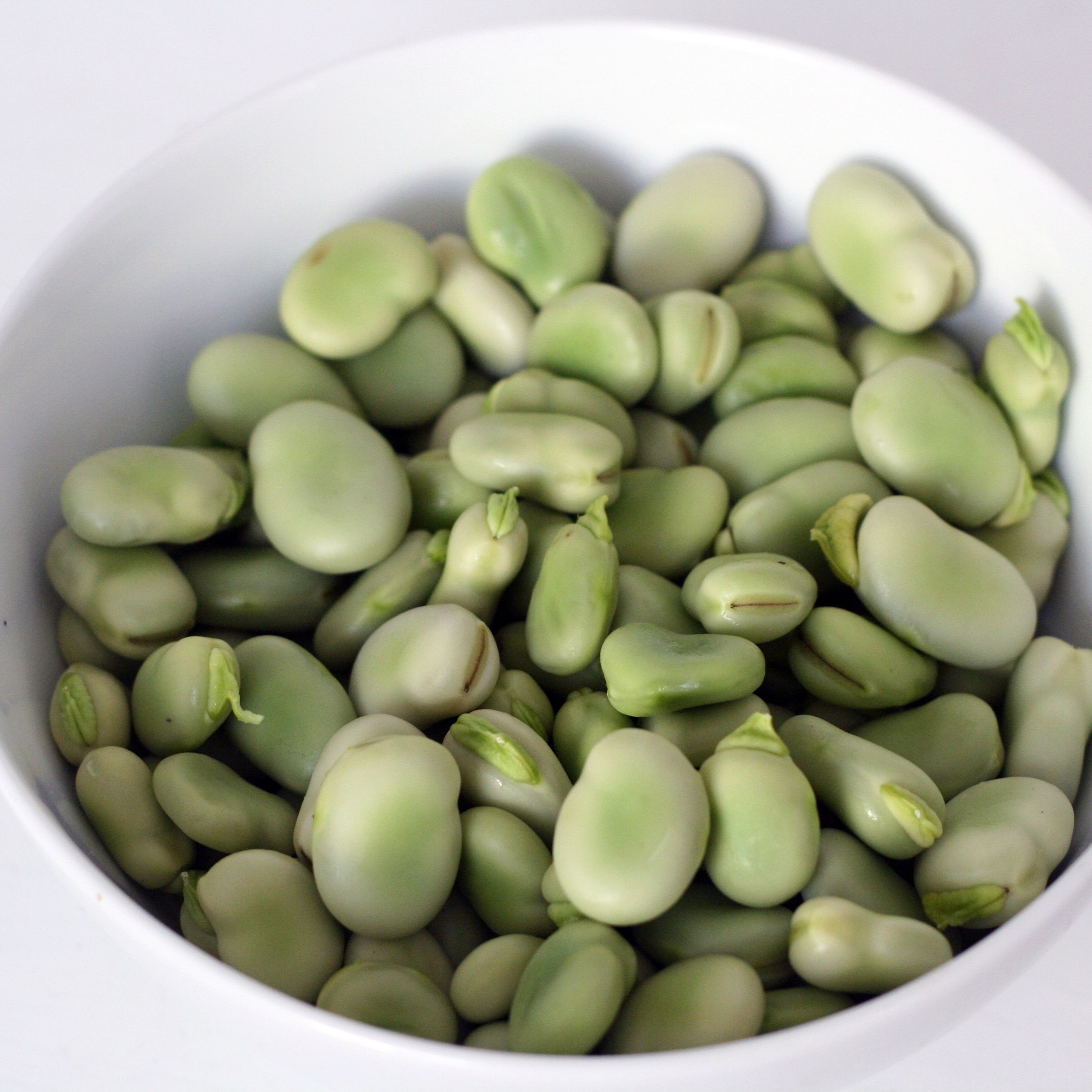 Broad Beans Fava Beans (with Pictures) Instructables