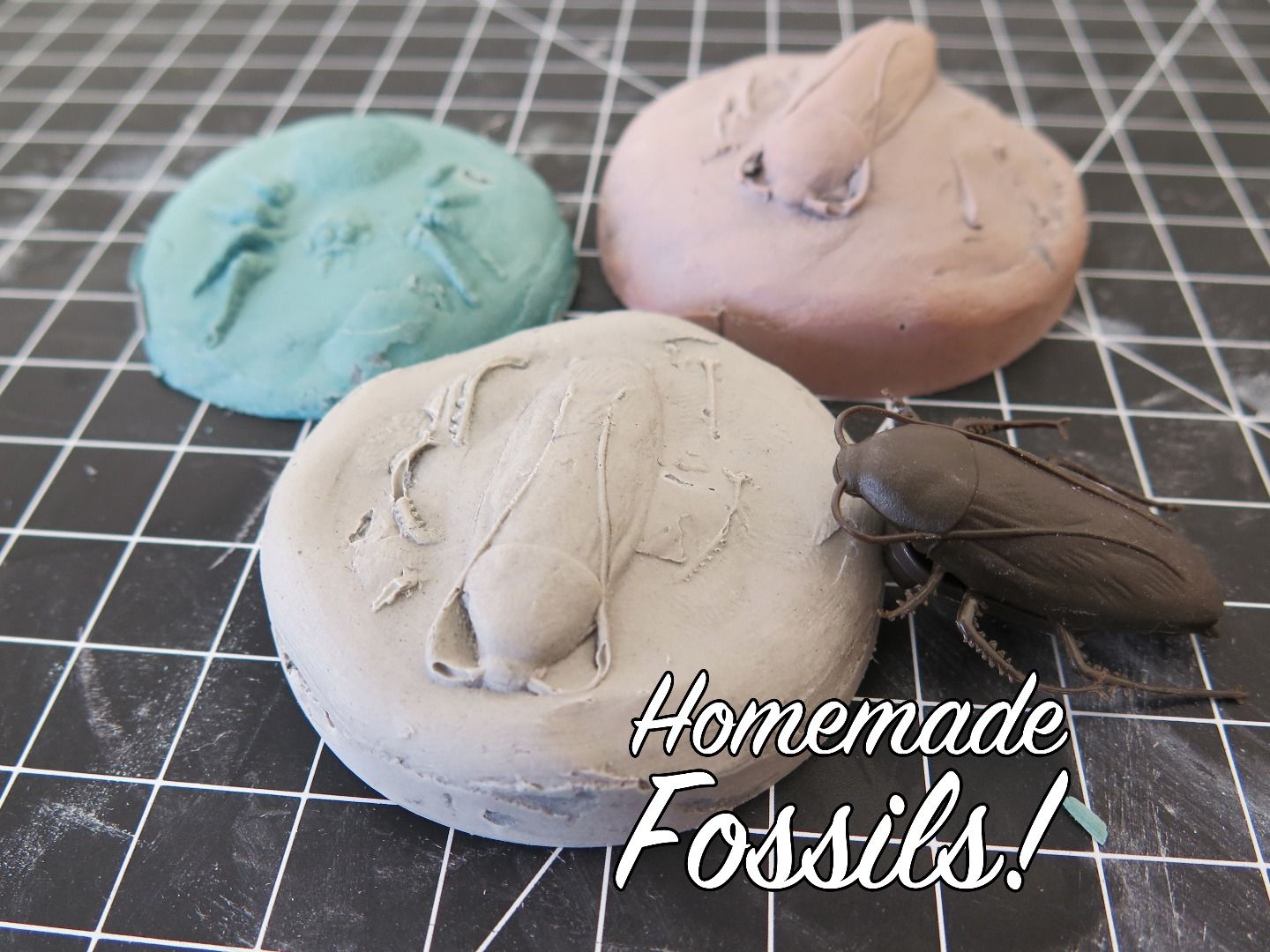 Homemade Fossils! 5 Steps (with Pictures) Instructables