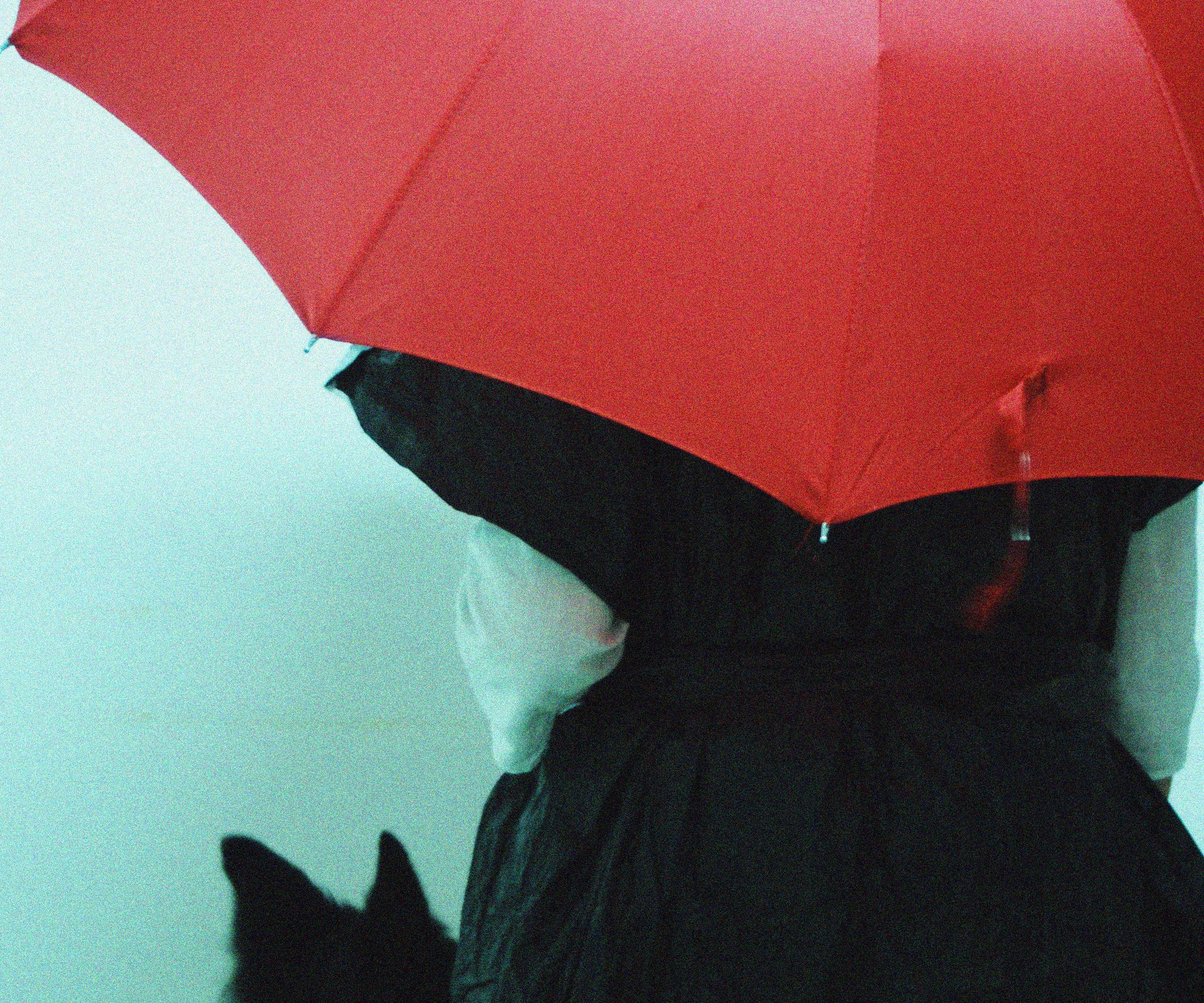 Trashbag Raincoat for Dog & Owner 3 Steps Instructables