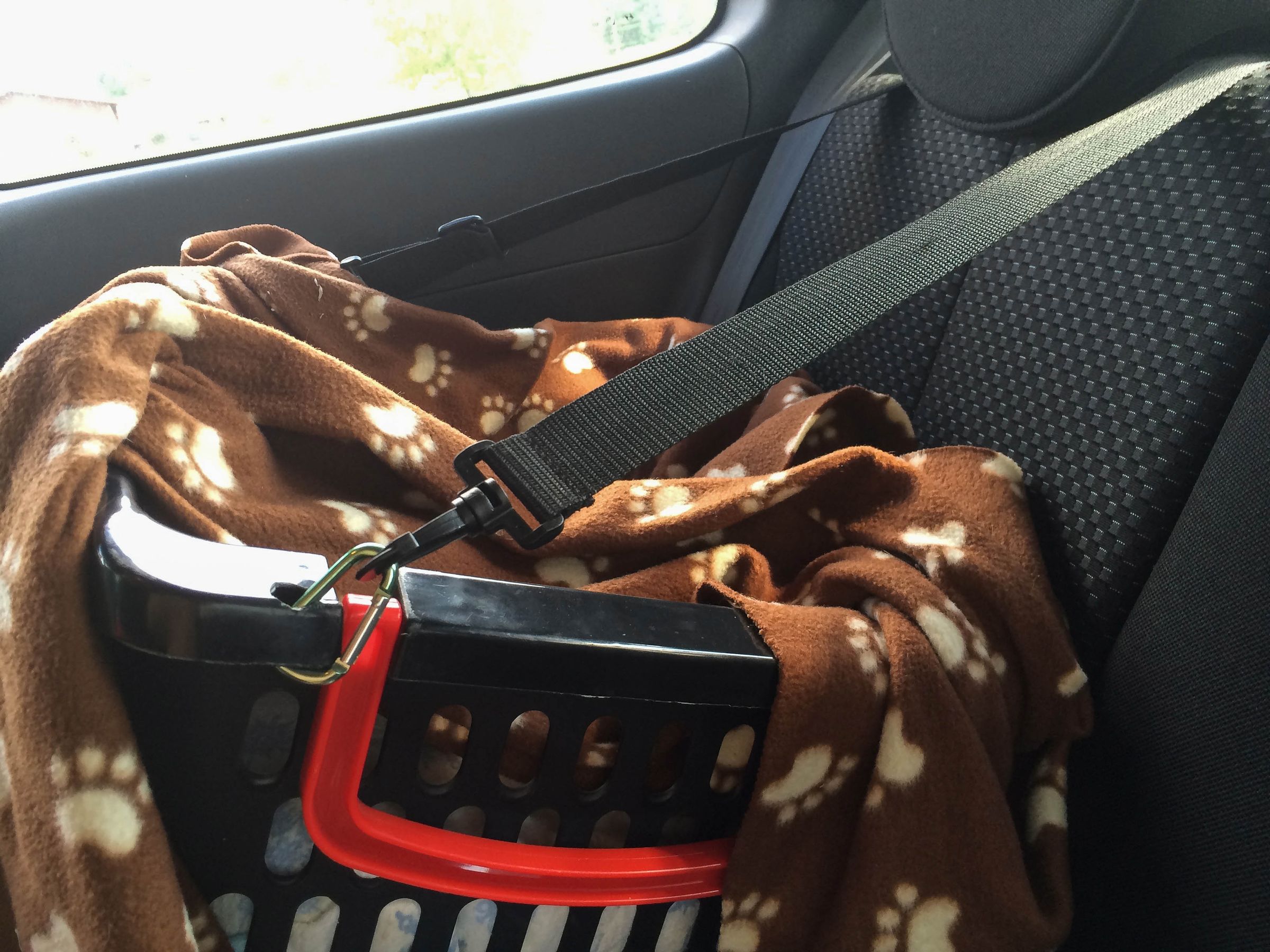 Cheap Safe Dog Car Seat 10 Steps (with Pictures) Instructables