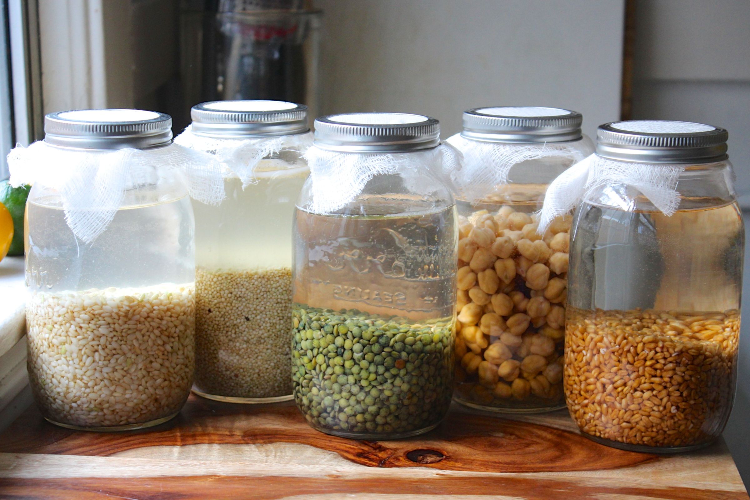 How to Sprout Grains and Beans 5 Steps (with Pictures) Instructables