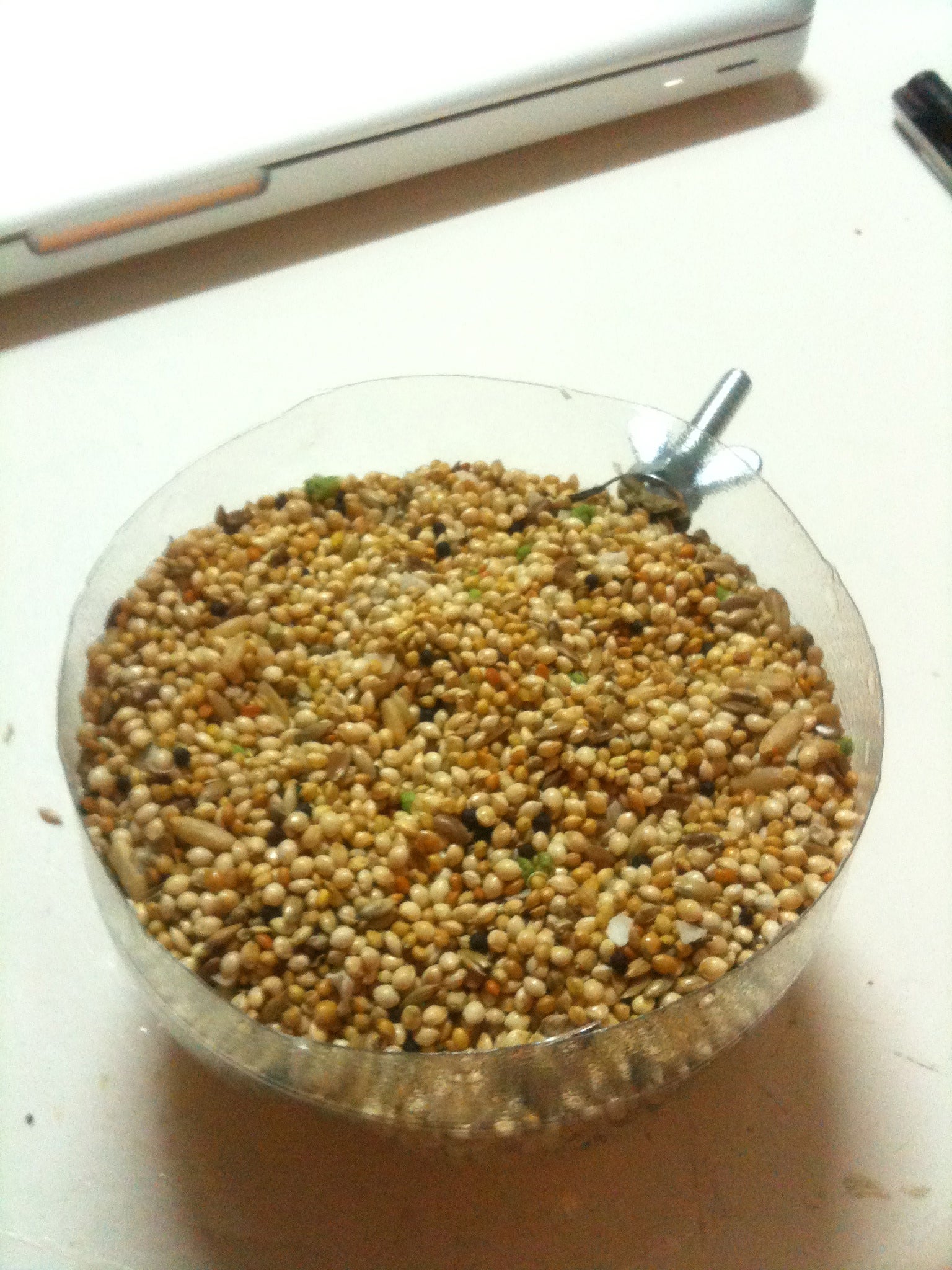 Cheap Bird Seed/Water Holder 5 Steps Instructables