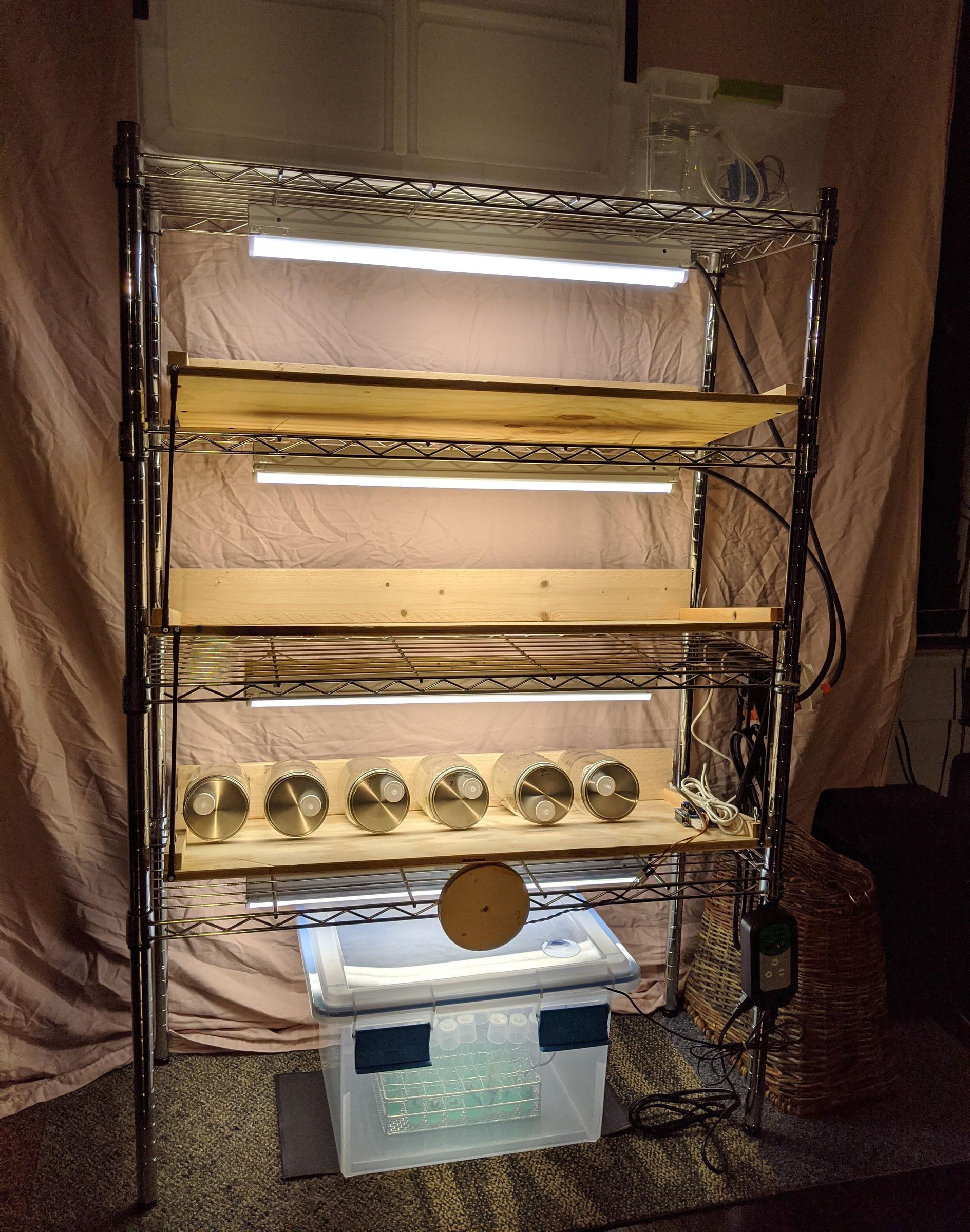 Tipping Shelf Temporary Immersion Micropropagation Apparatus 16 Steps