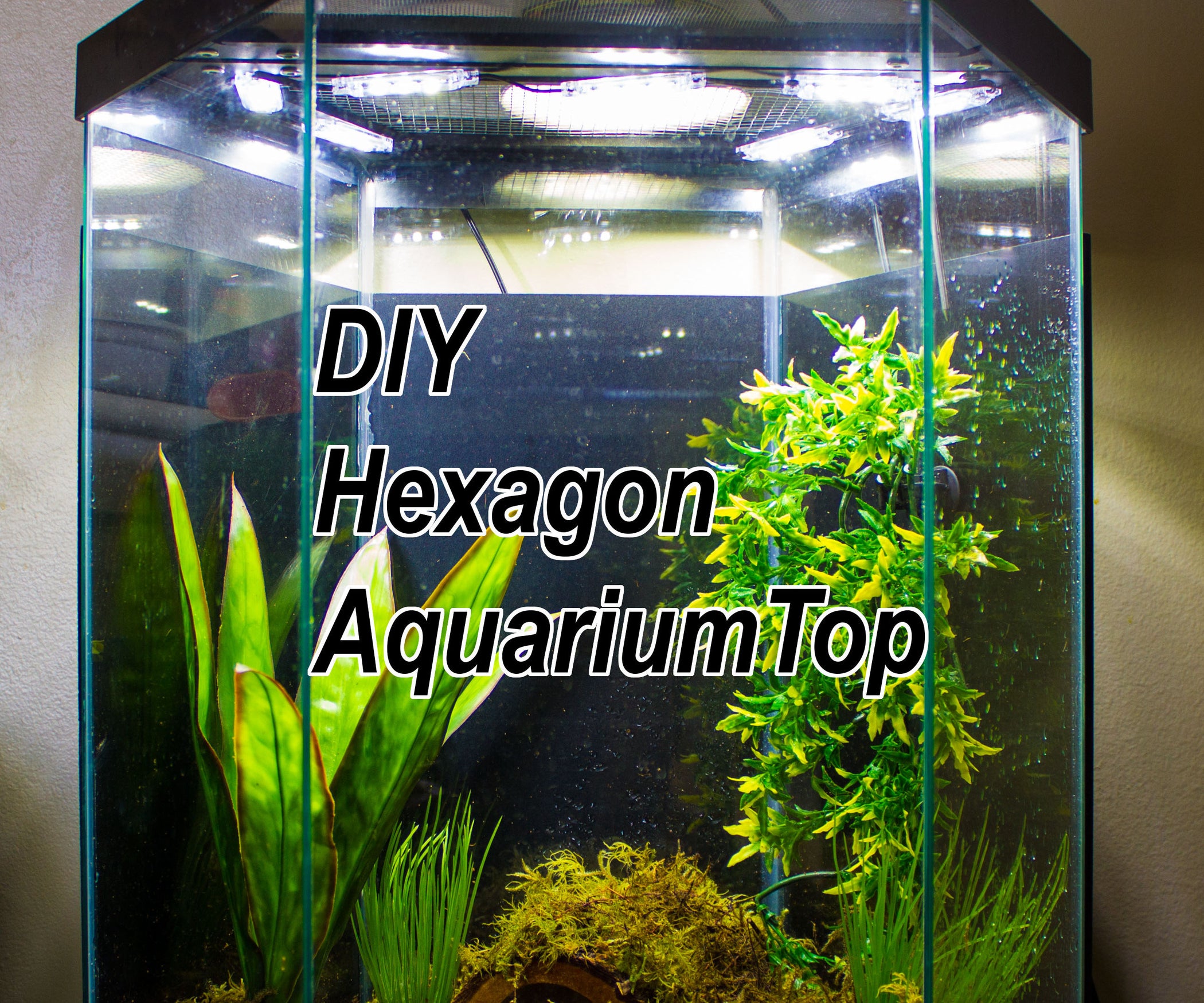 DIY LED Hood for a 20 Gallon Hexagon Aquarium Tank 6 Steps (with Pictures) Instructables