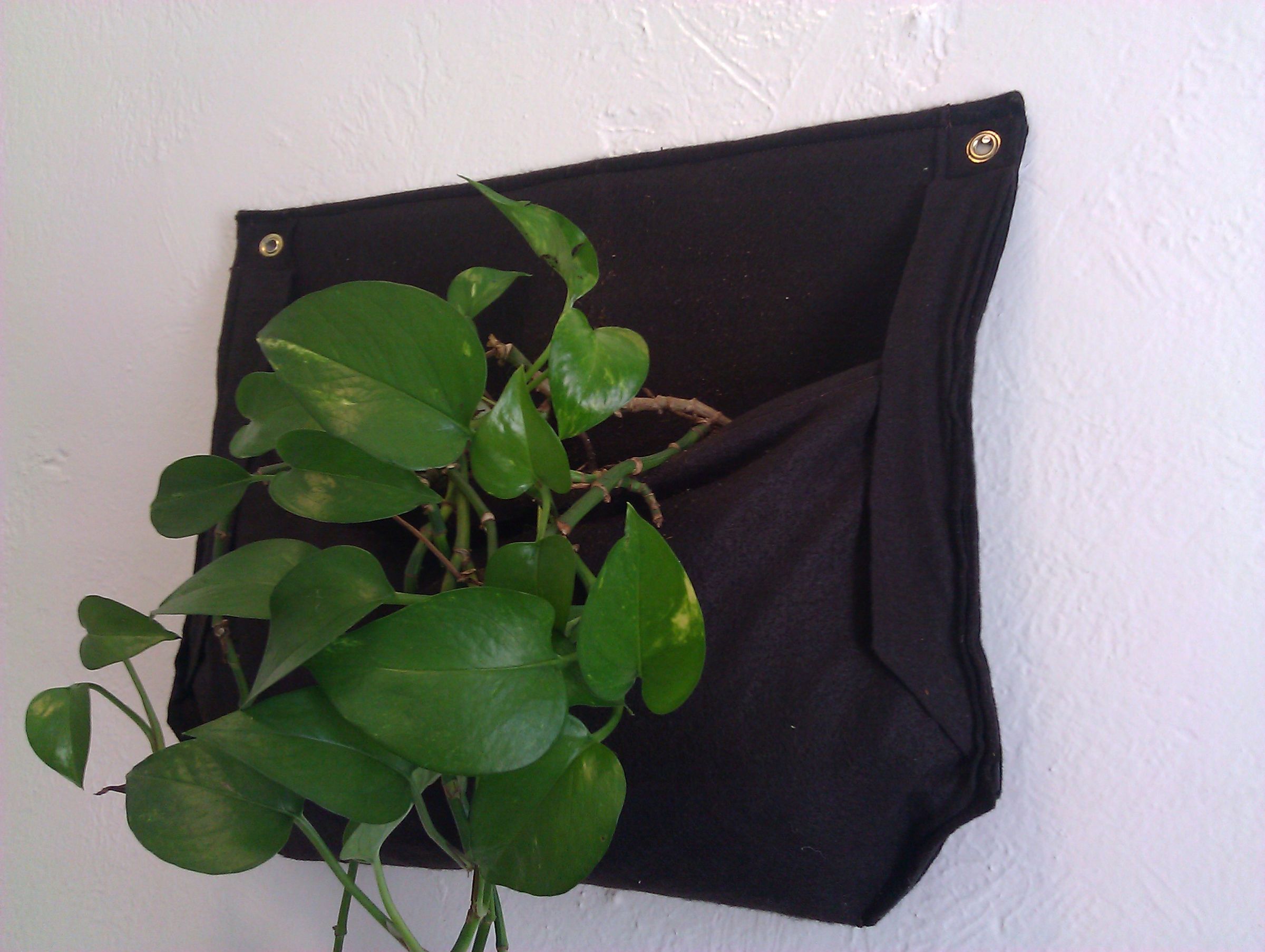Hanging Plant Pocket 8 Steps (with Pictures) Instructables