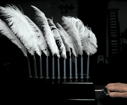 Feather Automaton